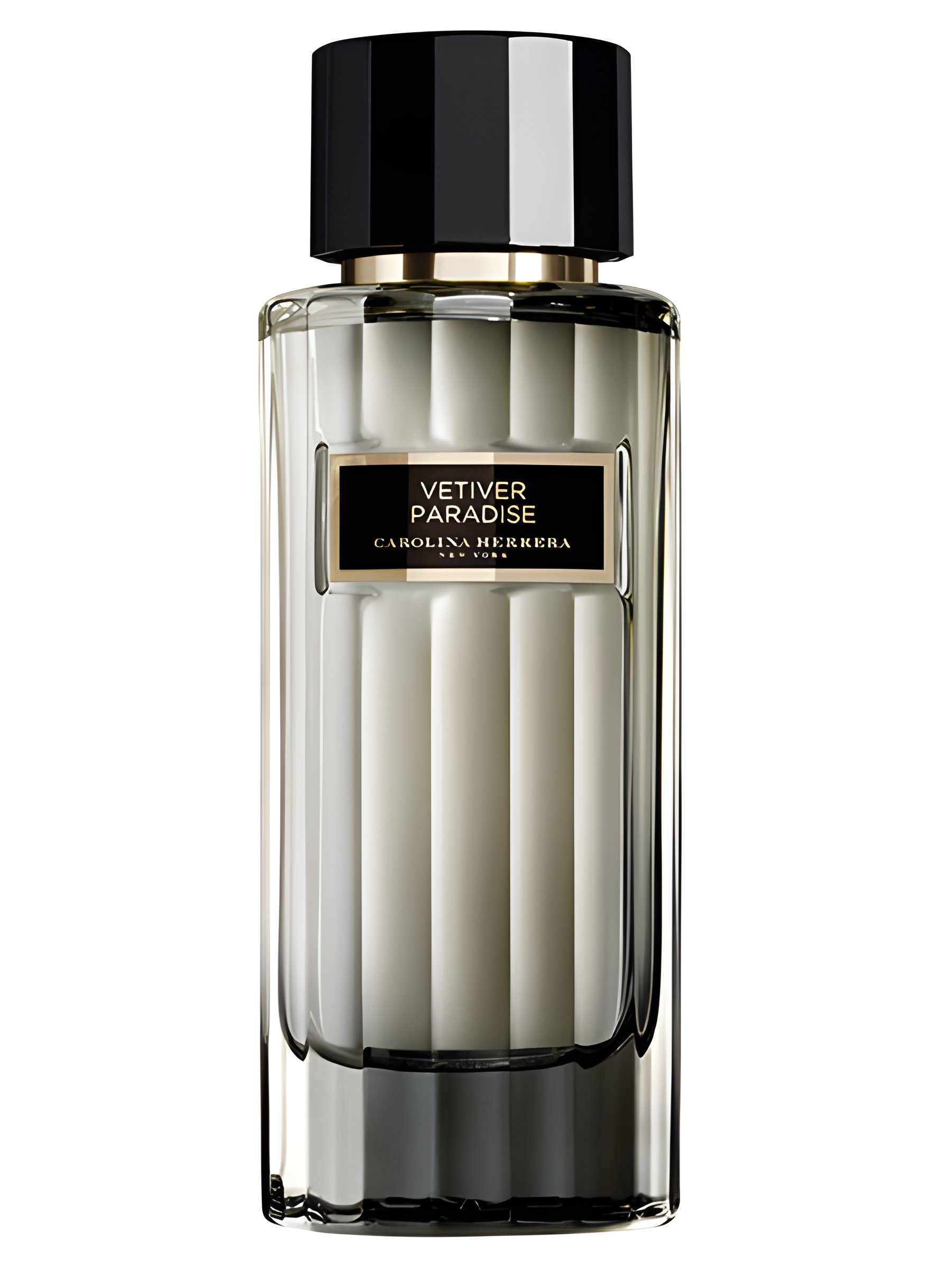 Picture of Vetiver Paradise fragrance