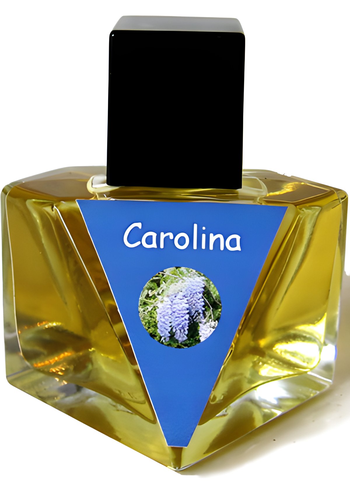 Picture of Carolina fragrance