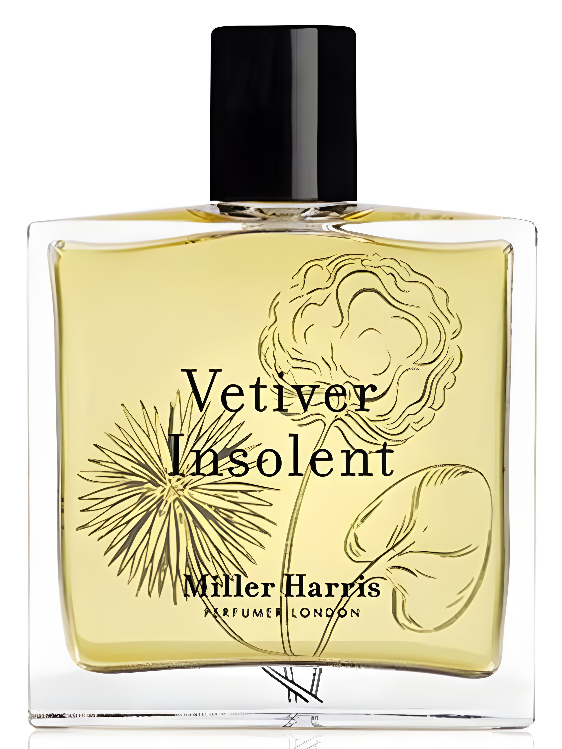 Picture of Vetiver Insolent fragrance