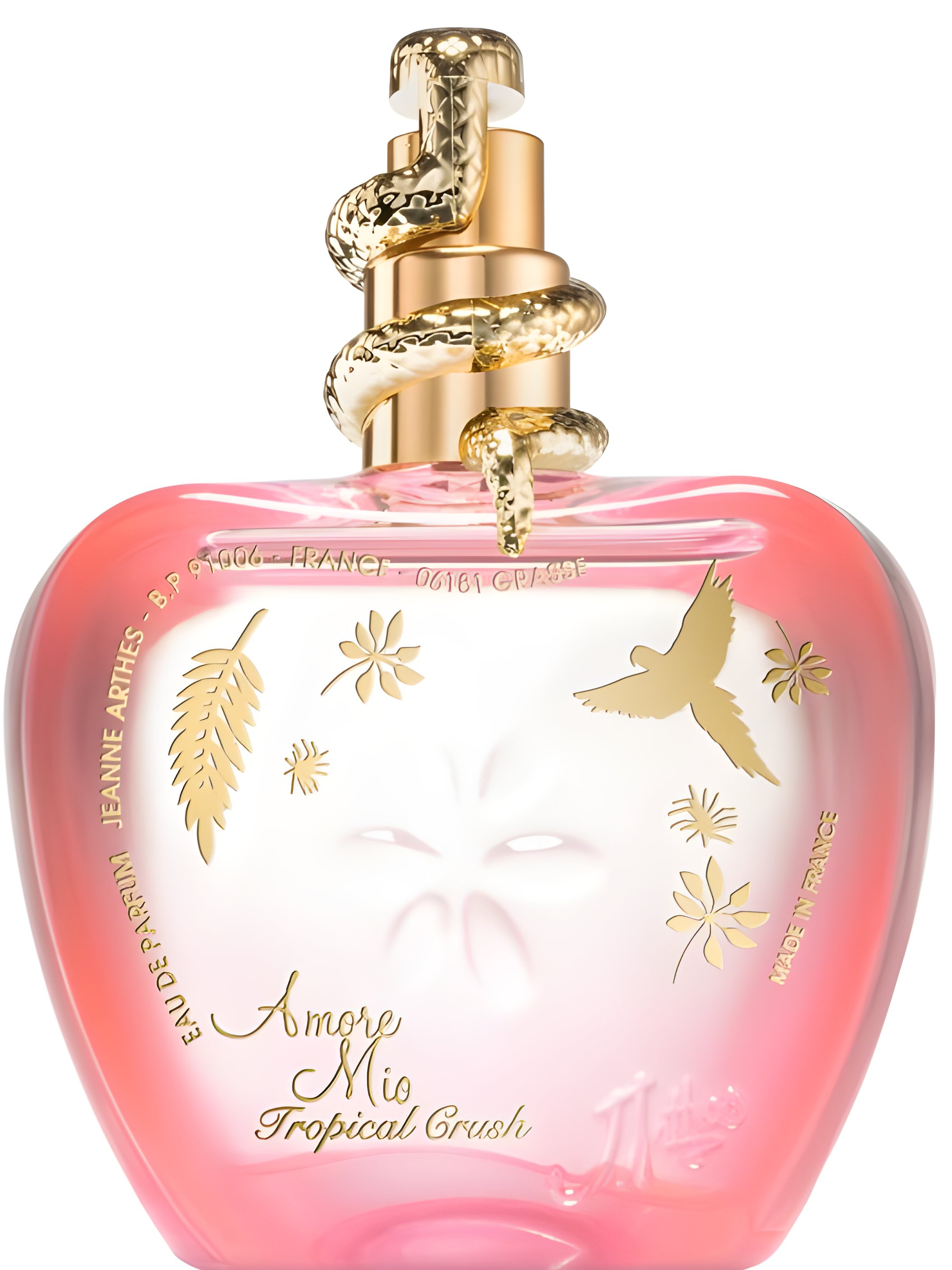 Picture of Amore Mio Tropical Crush fragrance