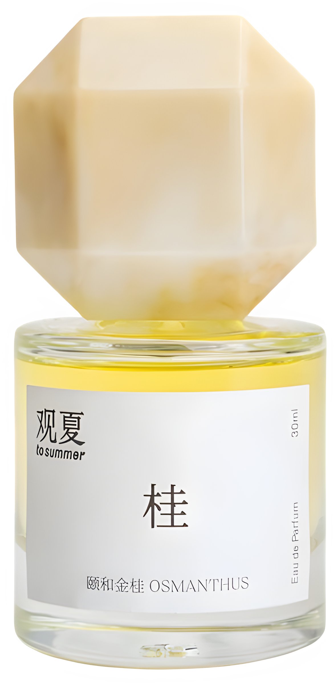 Picture of Osmanthus fragrance