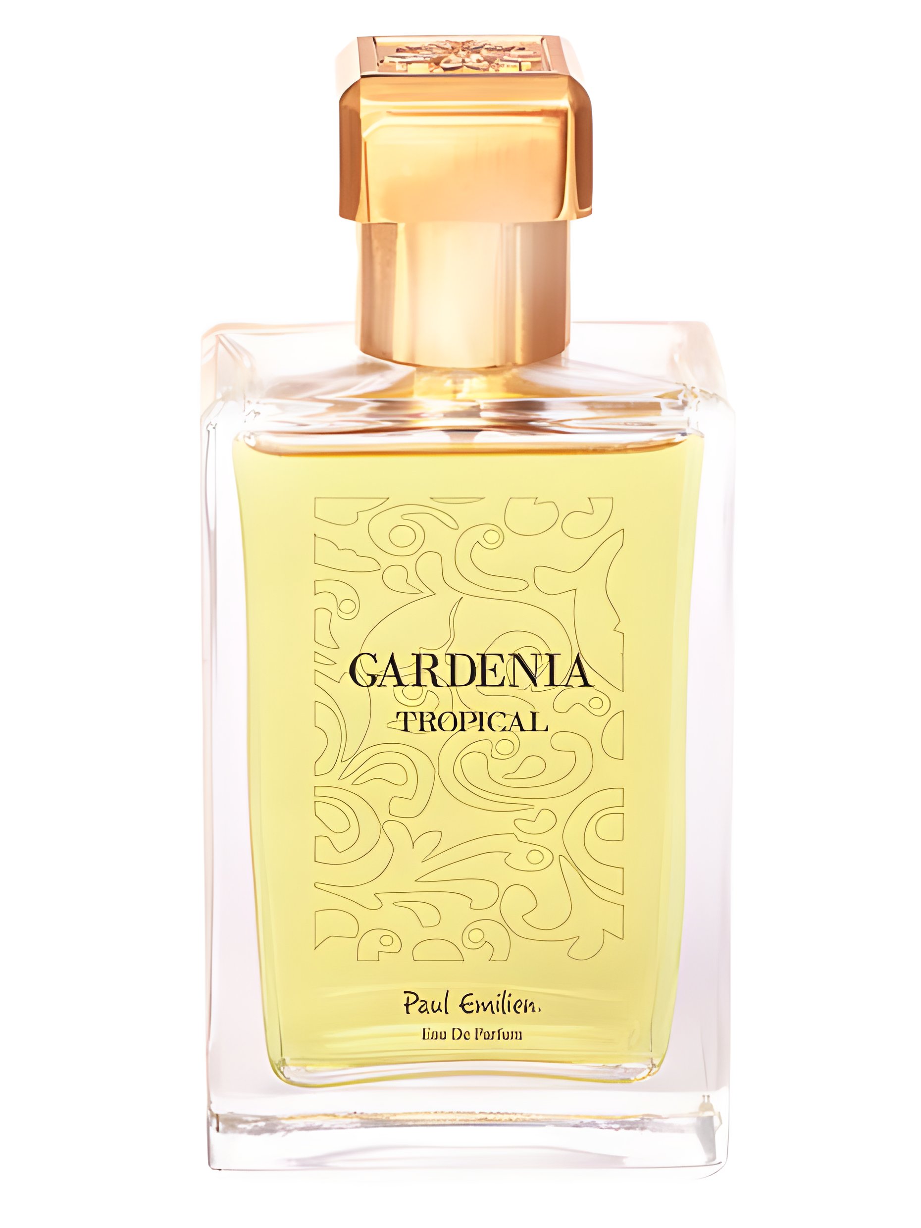 Picture of Gardenia Tropical fragrance