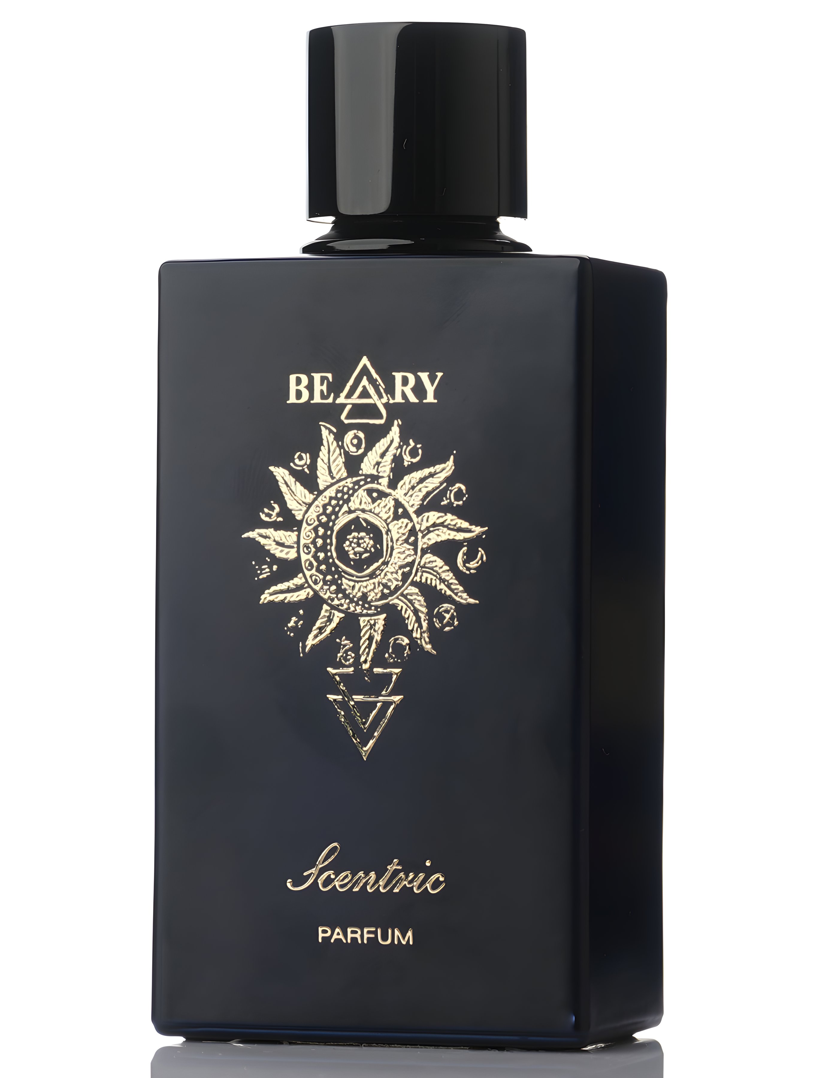 Picture of Scentric fragrance