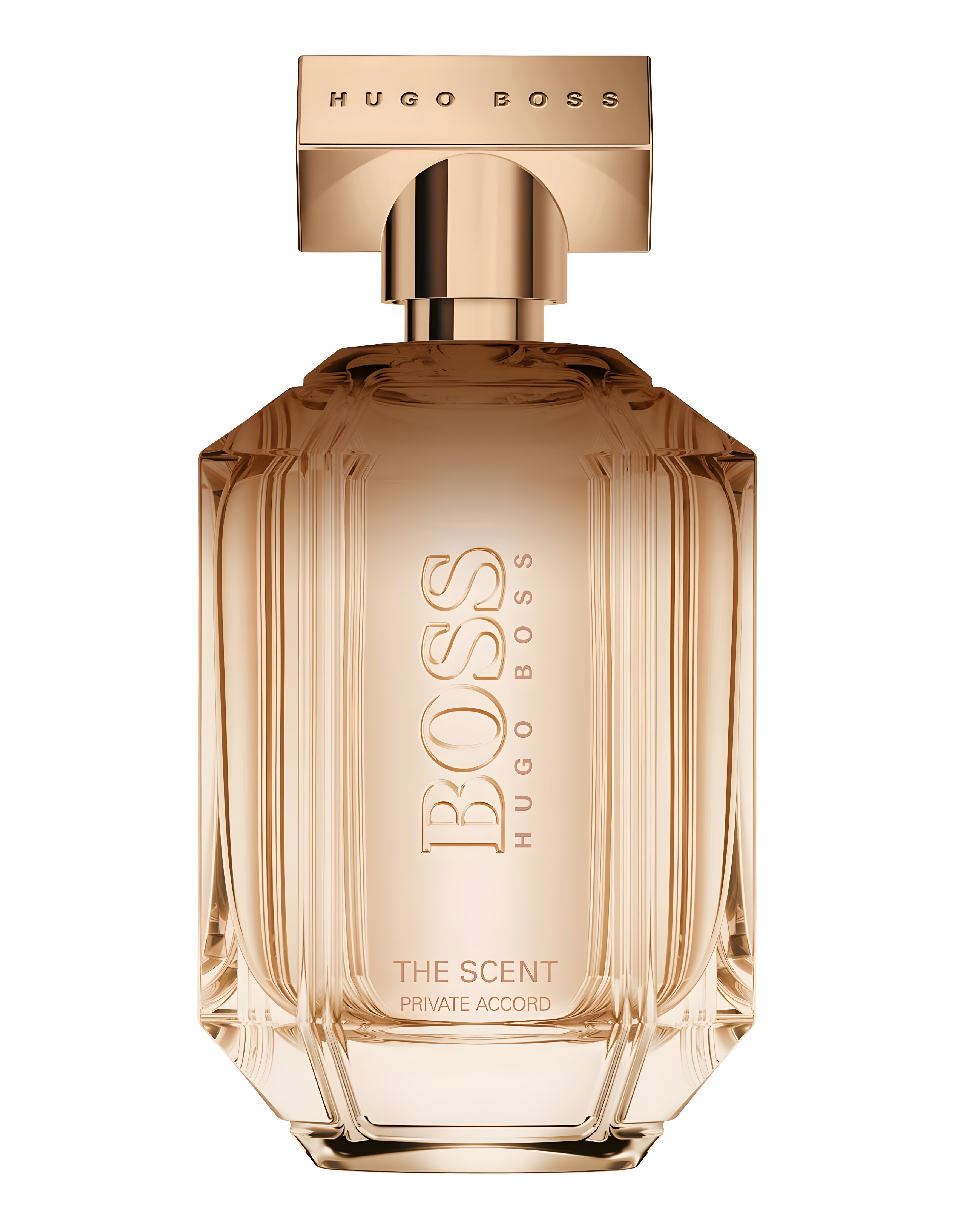 Picture of Boss the Scent Private Accord for Her fragrance