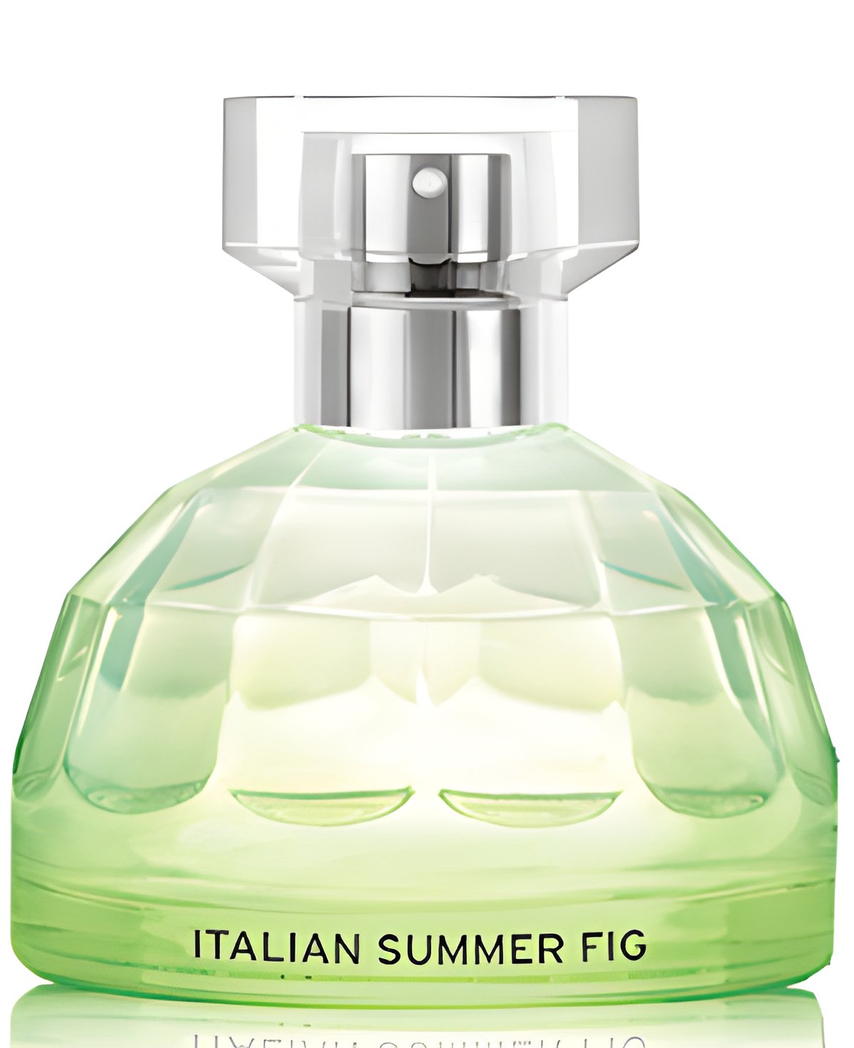 Picture of Italian Summer Fig fragrance