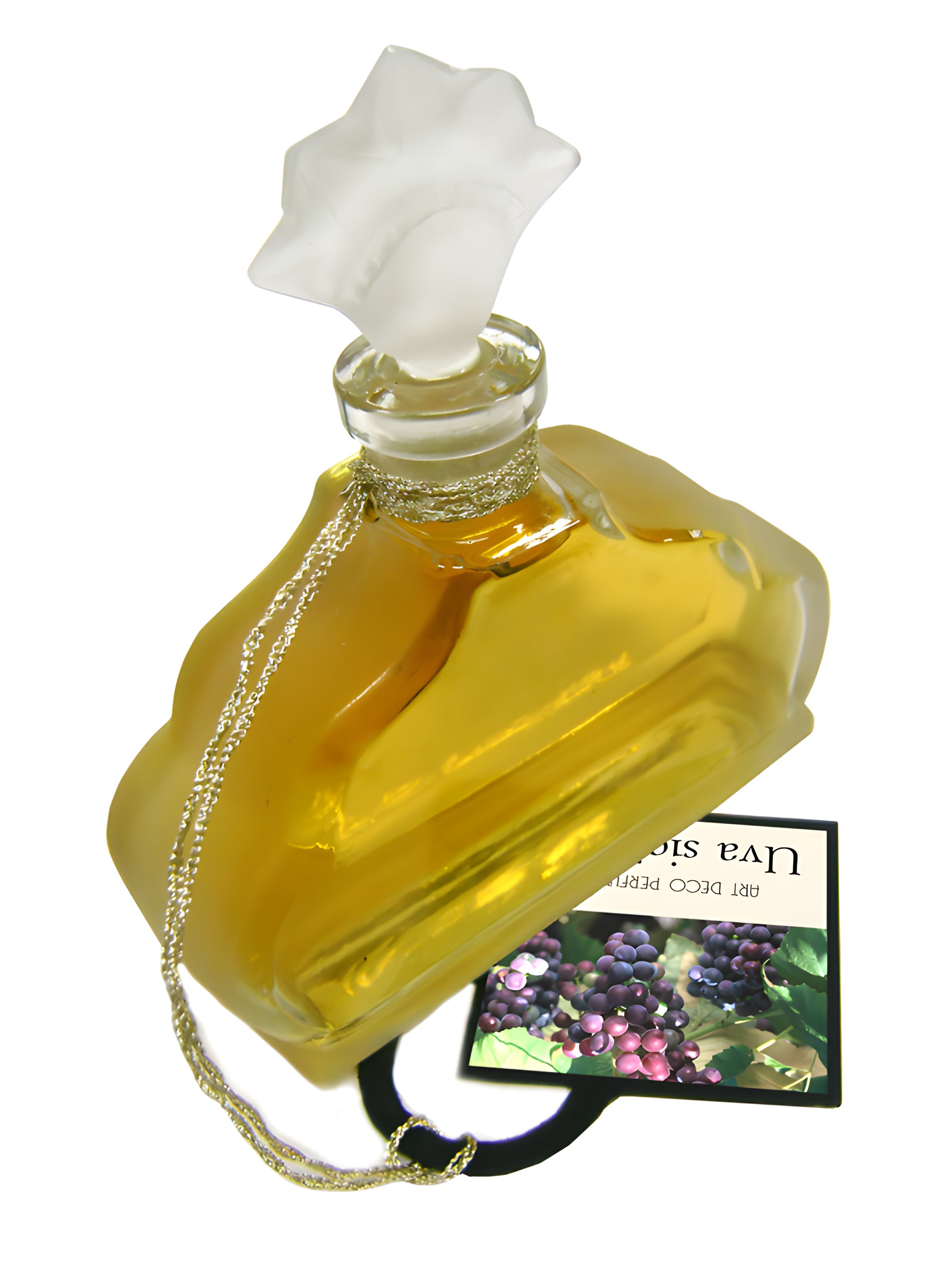 Picture of Uva Siciliani fragrance