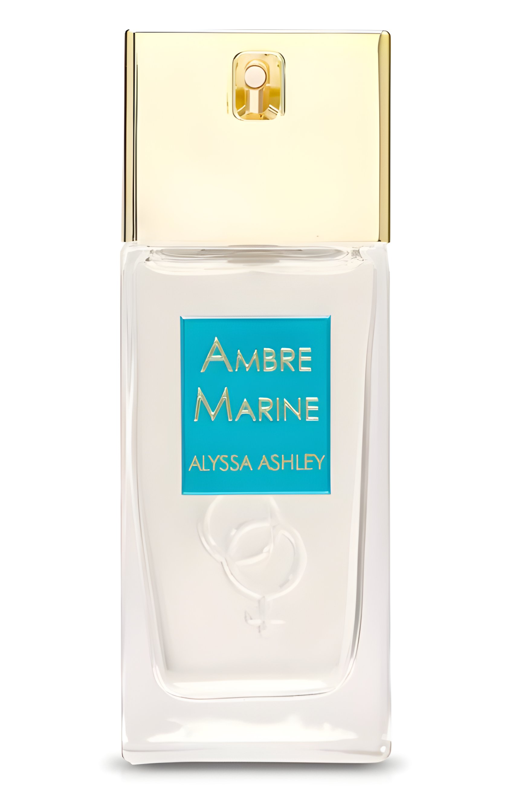 Picture of Ambre Marine fragrance