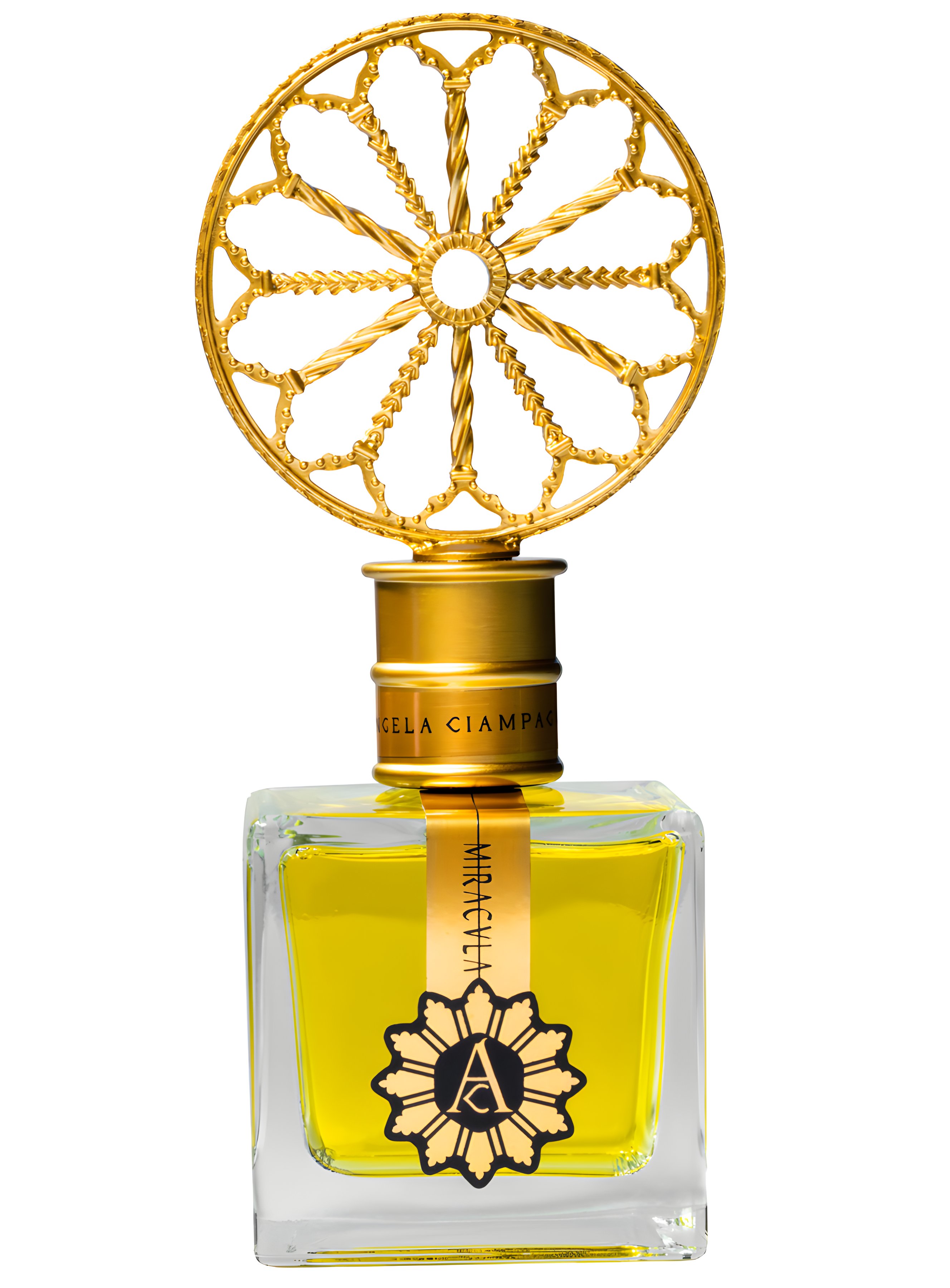 Picture of Miracula fragrance