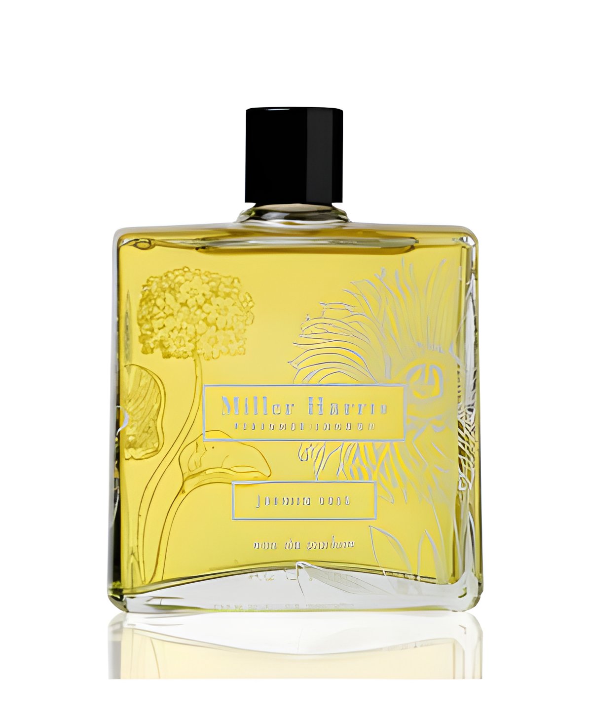 Picture of Jasmin Vert fragrance