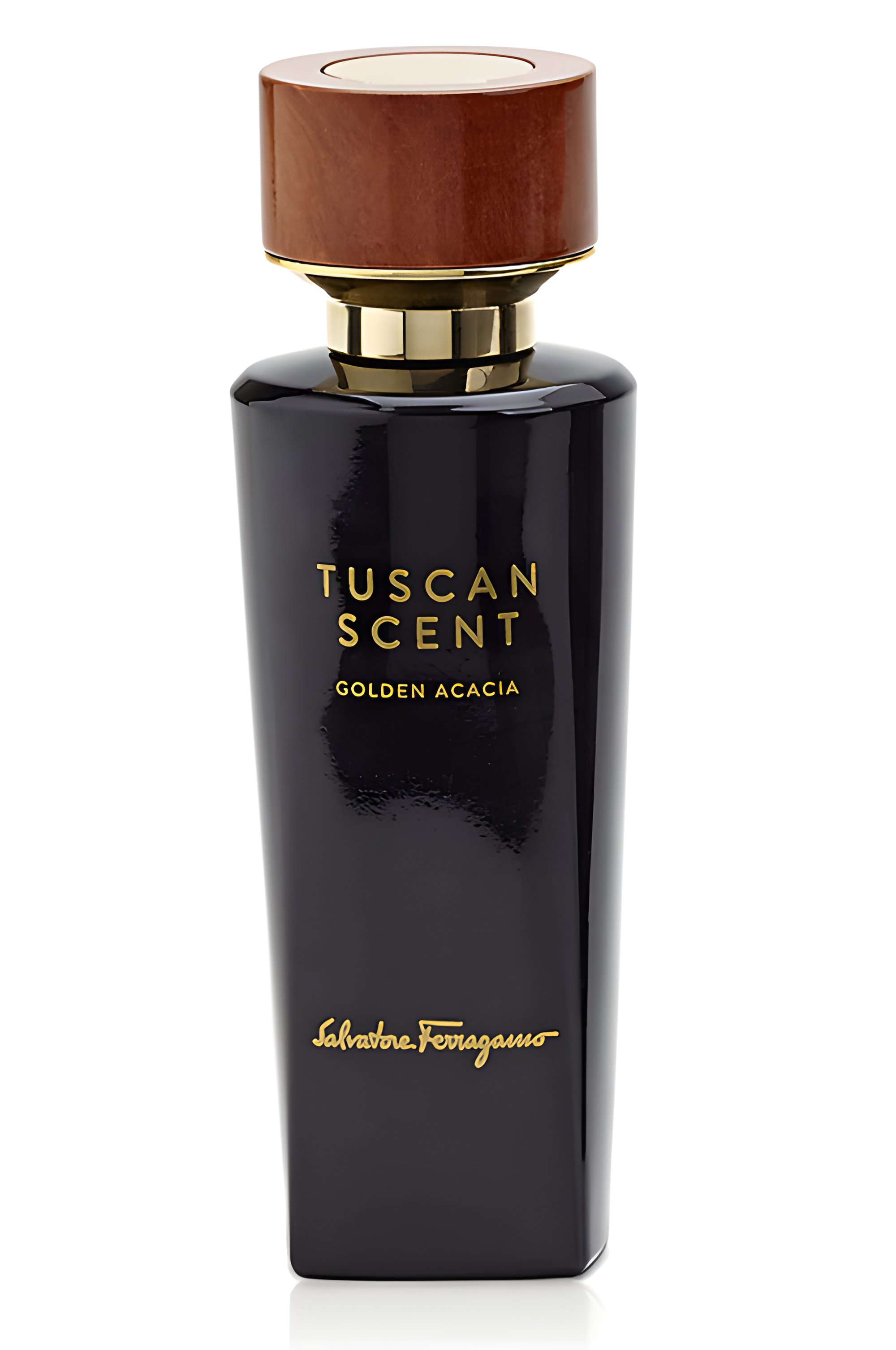 Picture of Golden Acacia fragrance