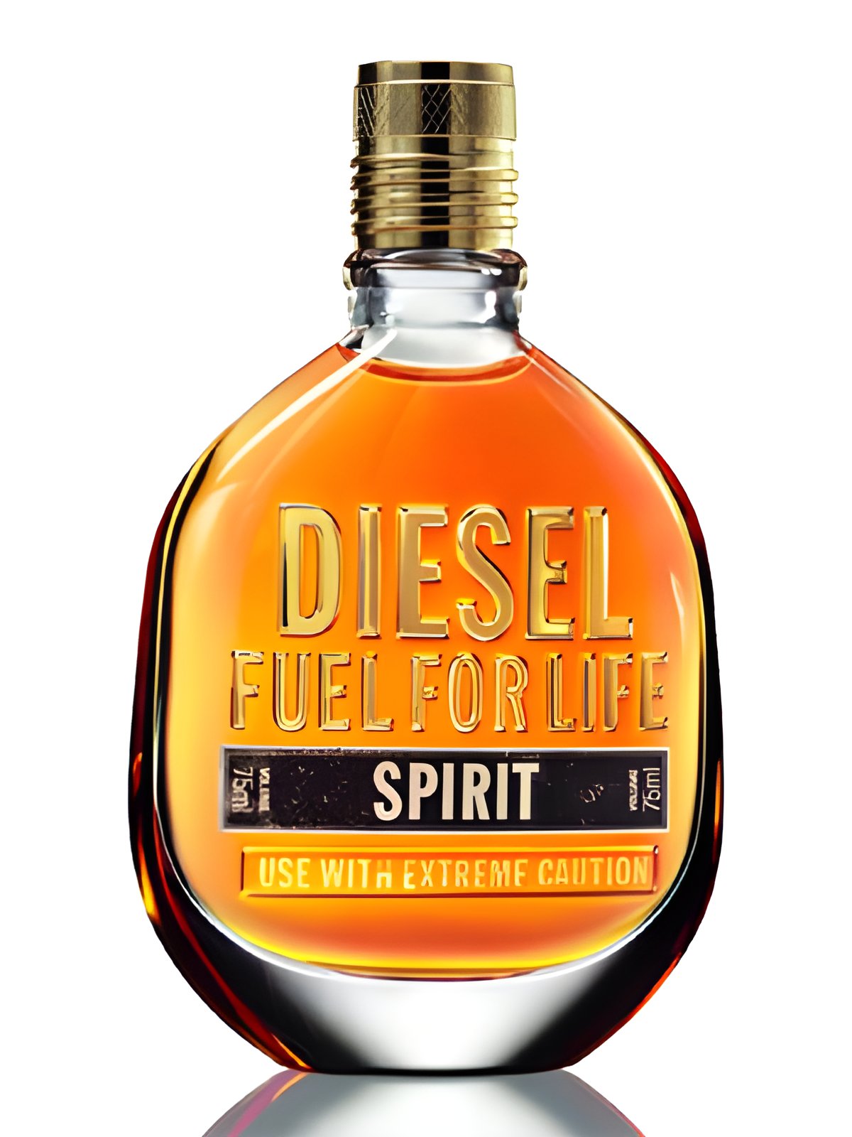 Picture of Fuel for Life Spirit fragrance