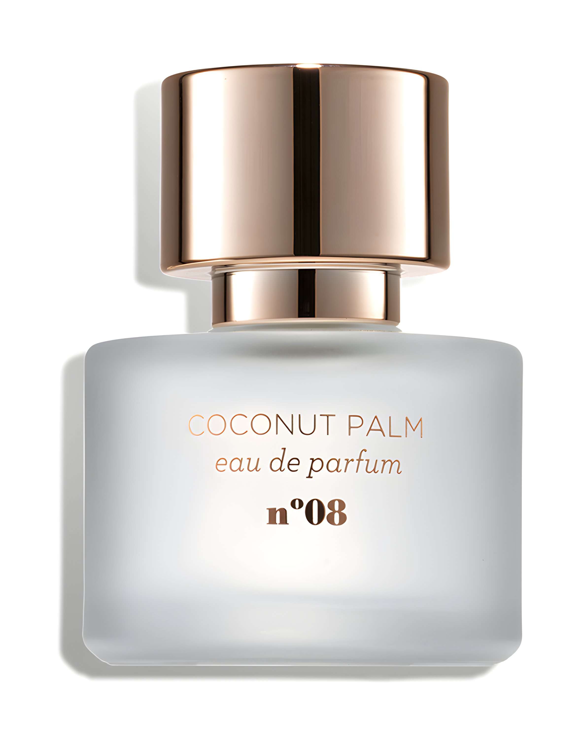 Picture of Coconut Palm fragrance