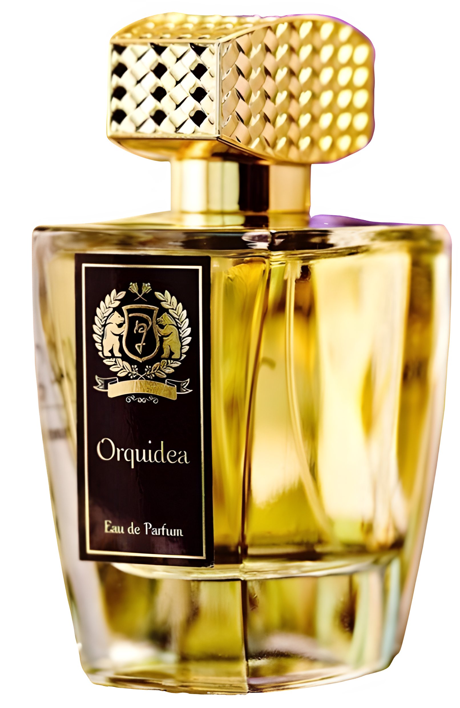 Picture of Orquidea fragrance