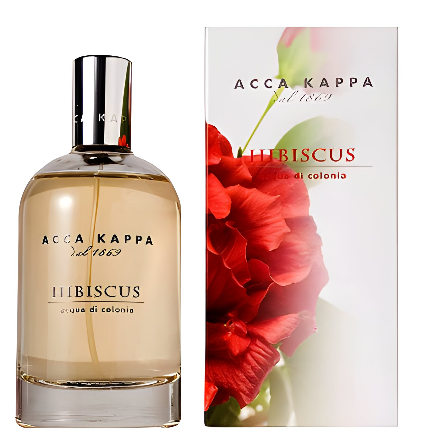 Picture of Hibiscus fragrance