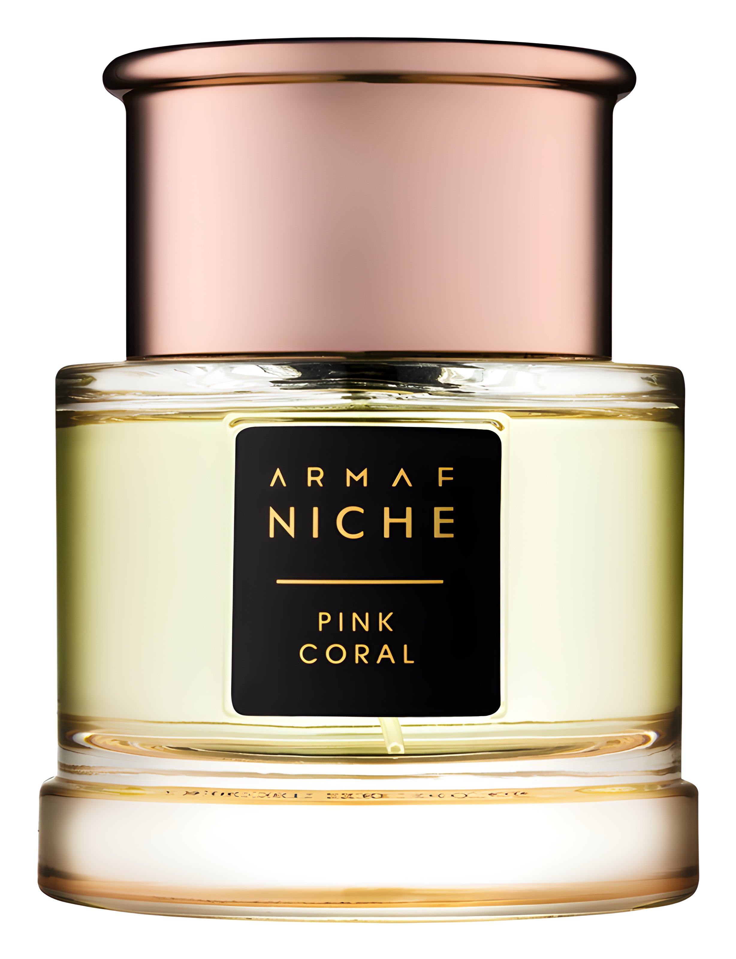 Picture of Pink Coral fragrance