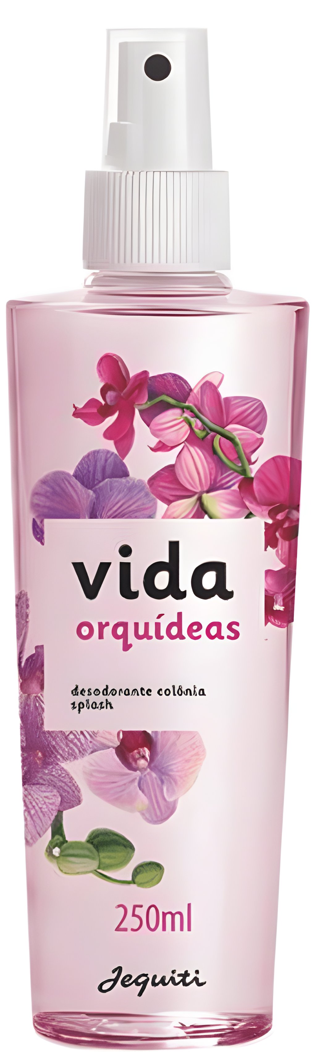 Picture of Vida Orquídeas fragrance