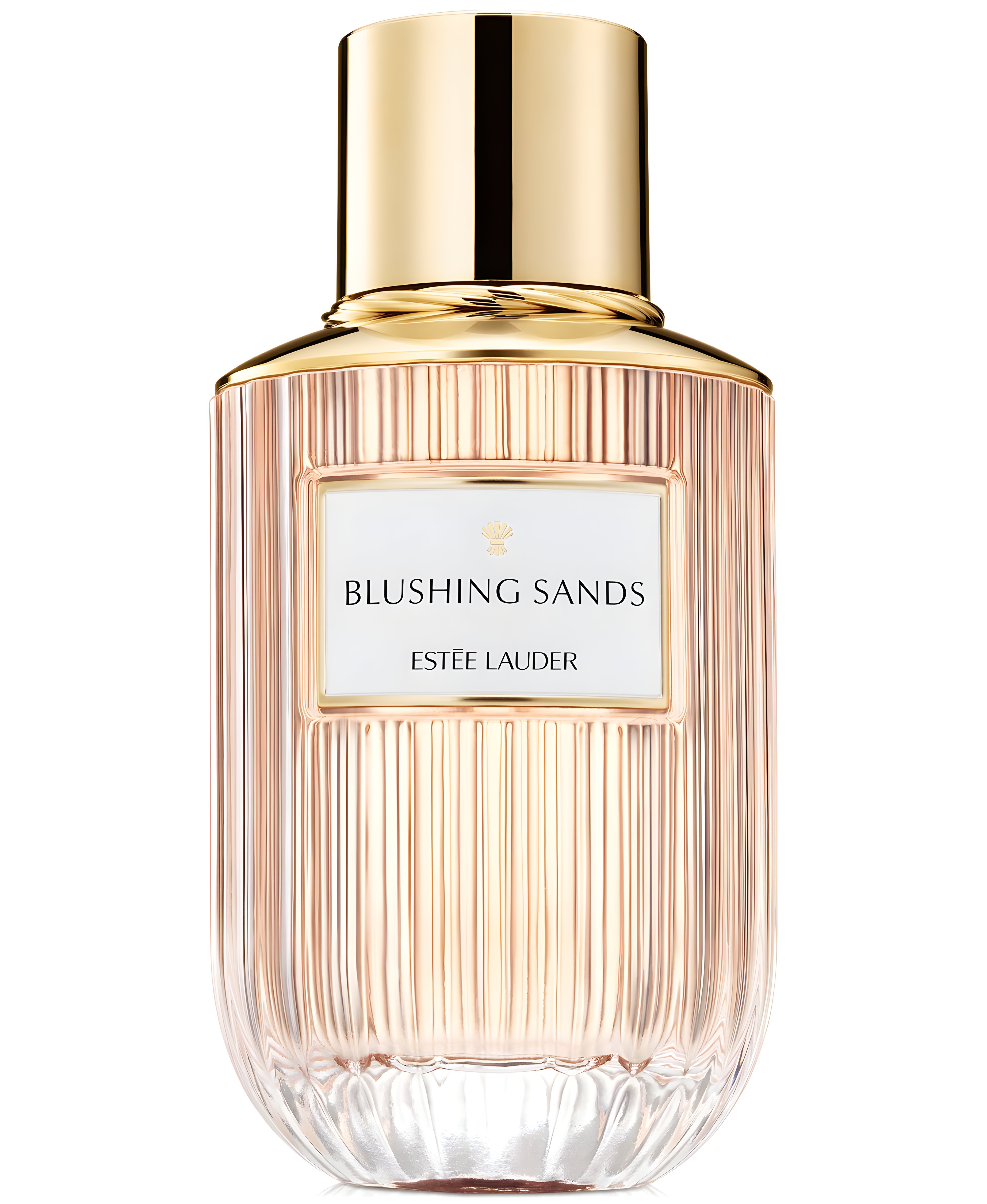 Picture of Blushing Sands fragrance