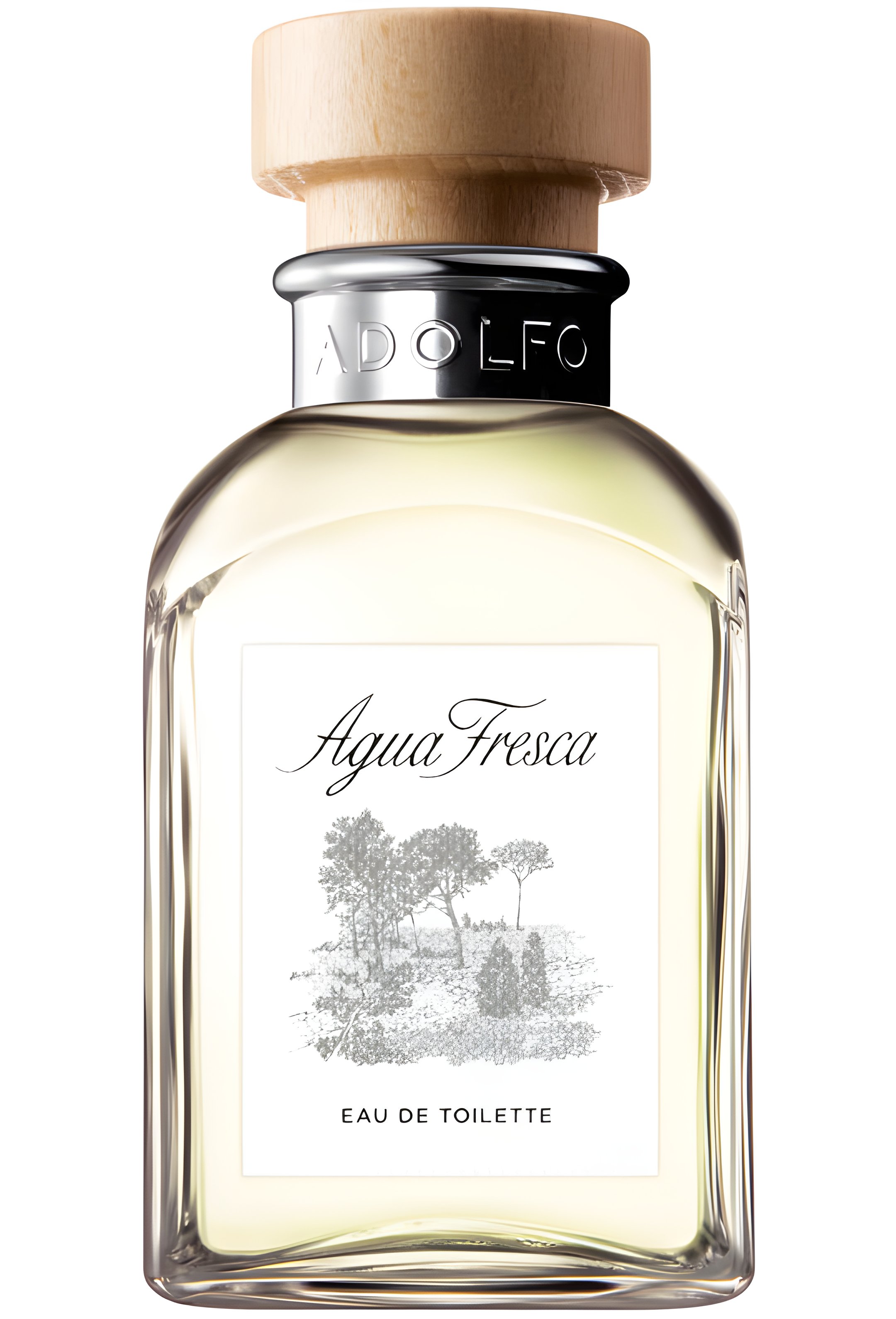 Picture of Agua Fresca fragrance