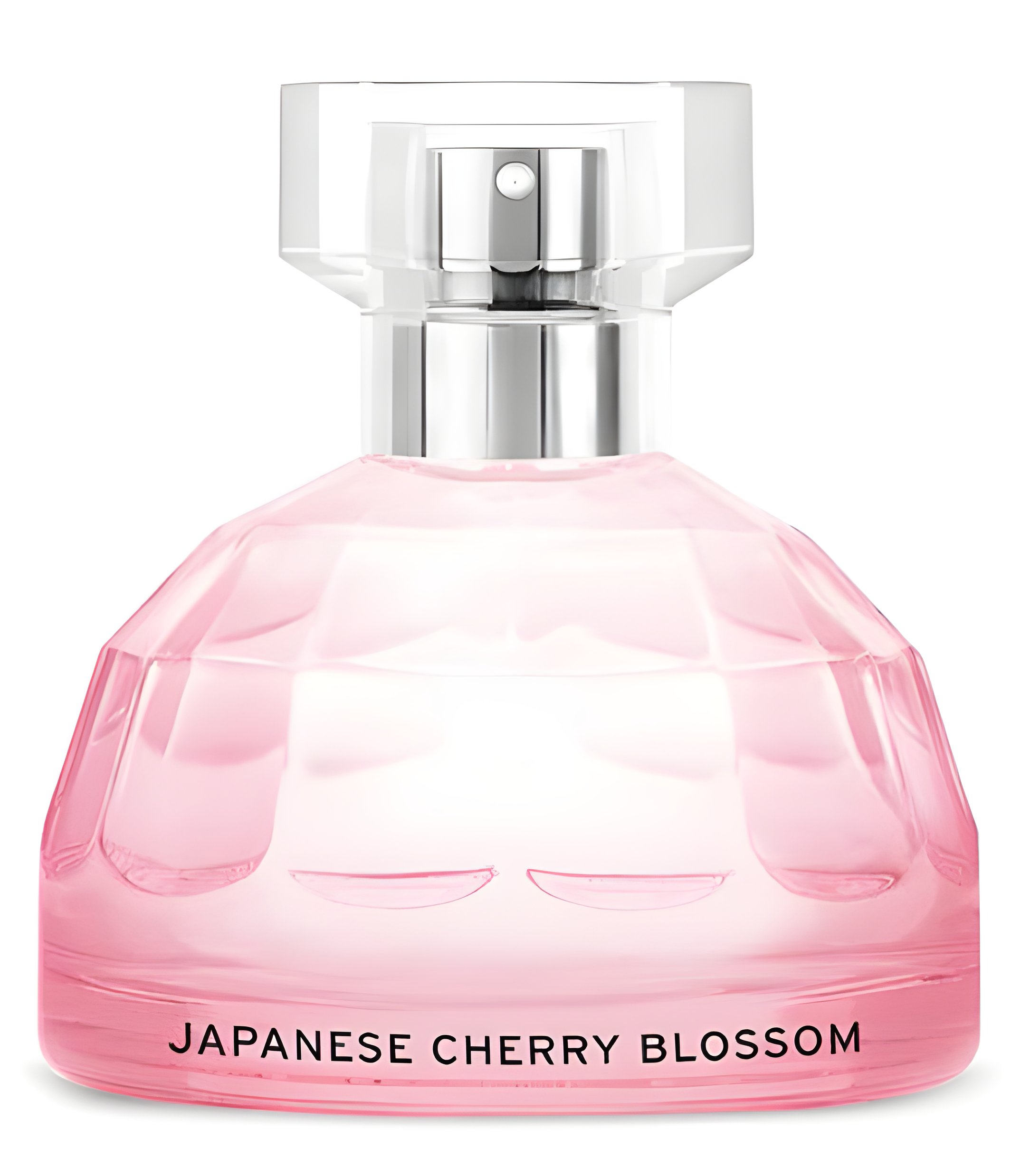 Picture of Japanese Cherry Blossom fragrance