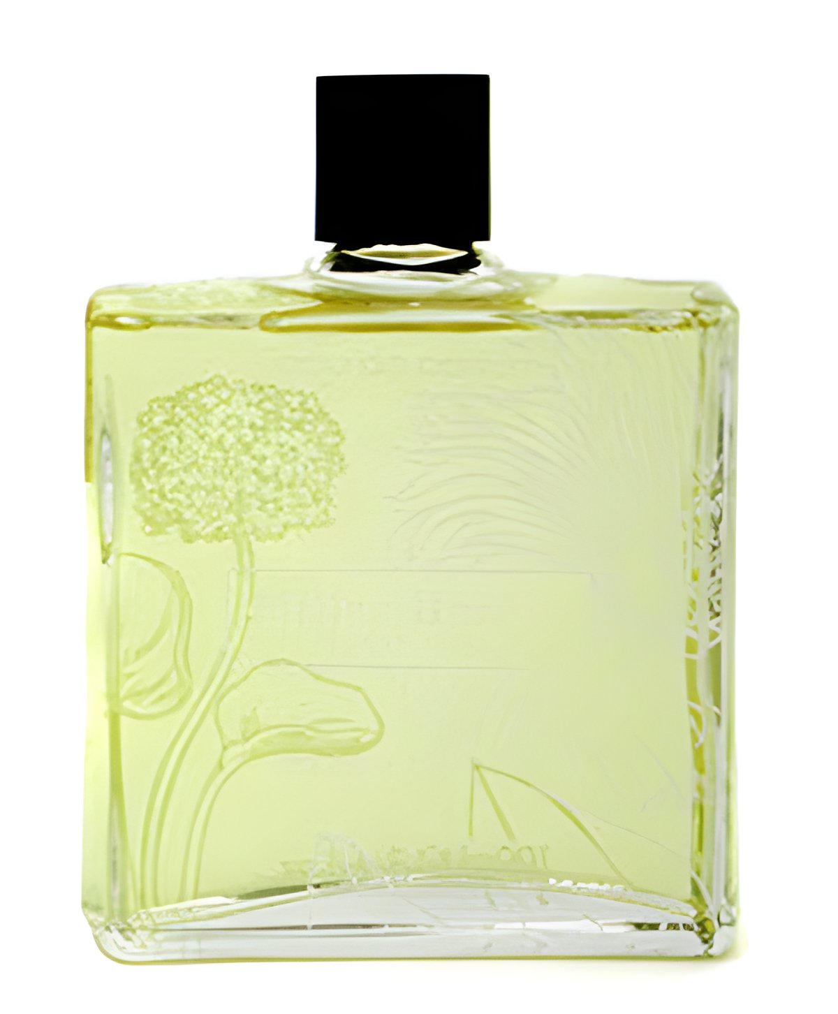 Picture of En Sens Du Bois fragrance