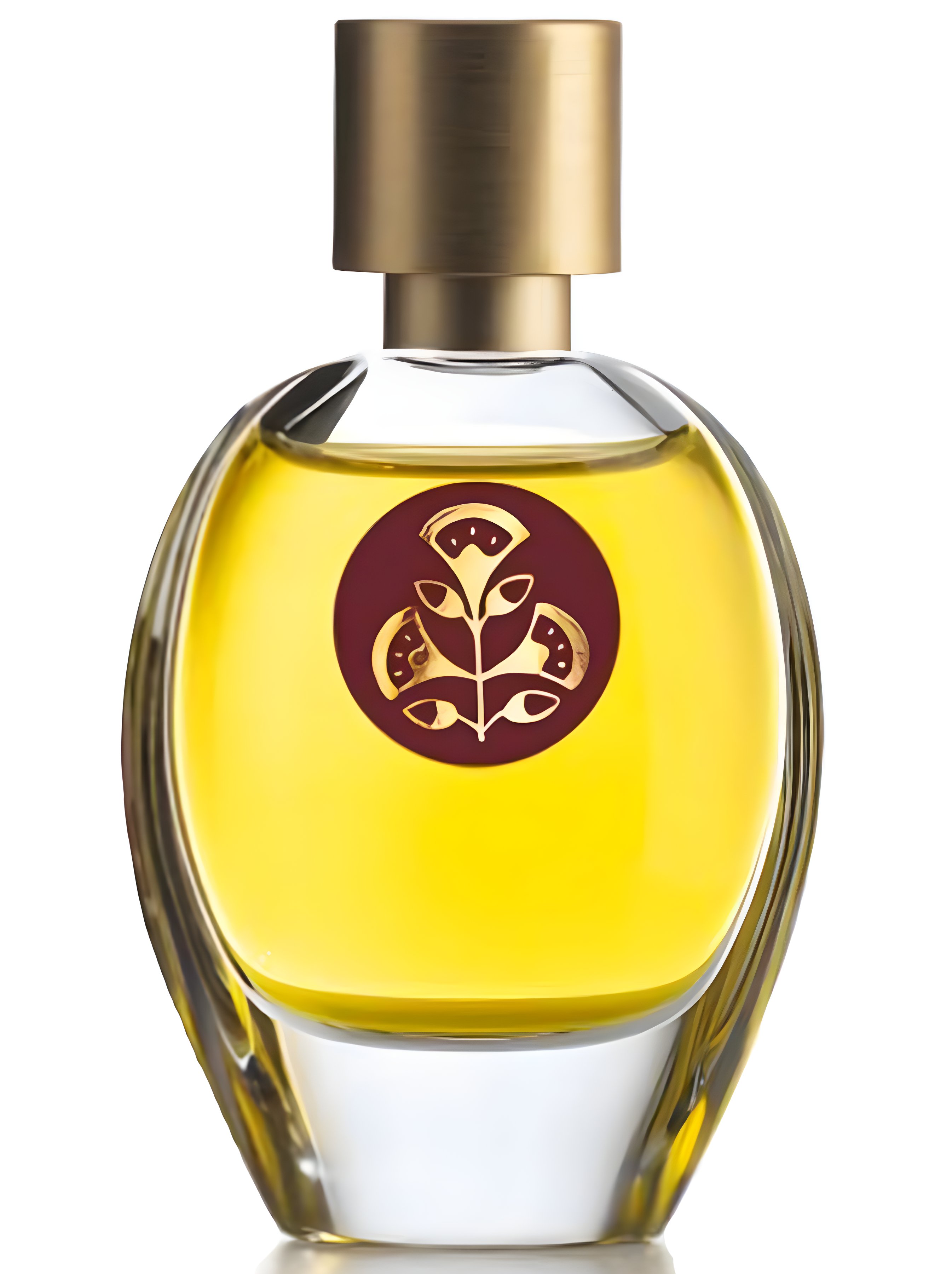 Picture of Terra d’Ombra fragrance