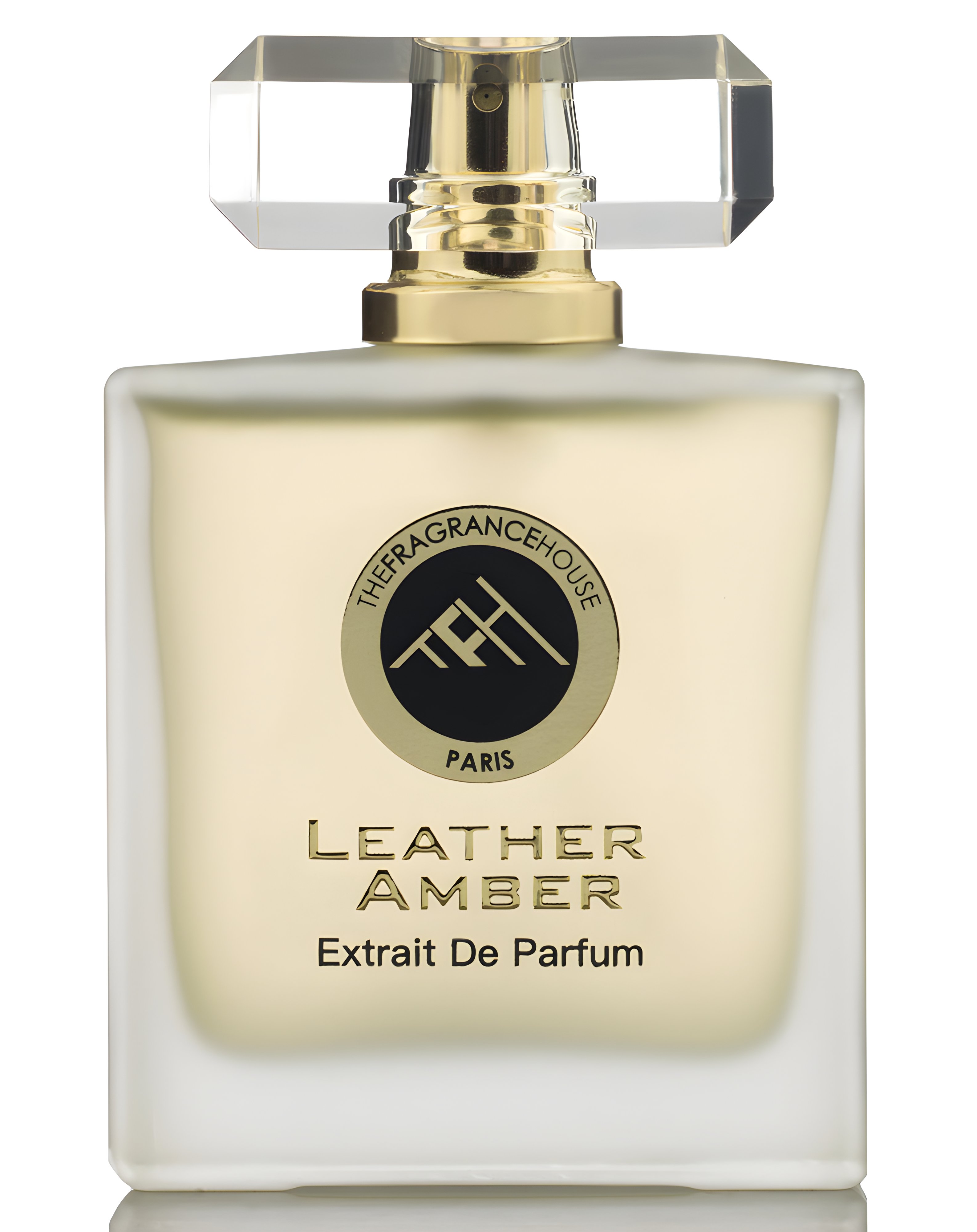 Picture of Leather Amber fragrance