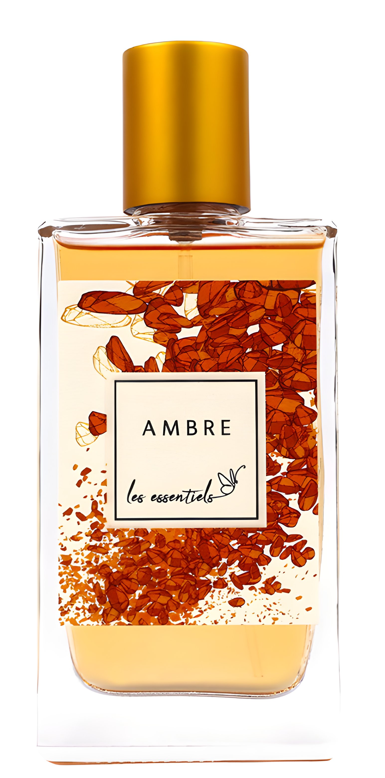 Picture of Ambre fragrance