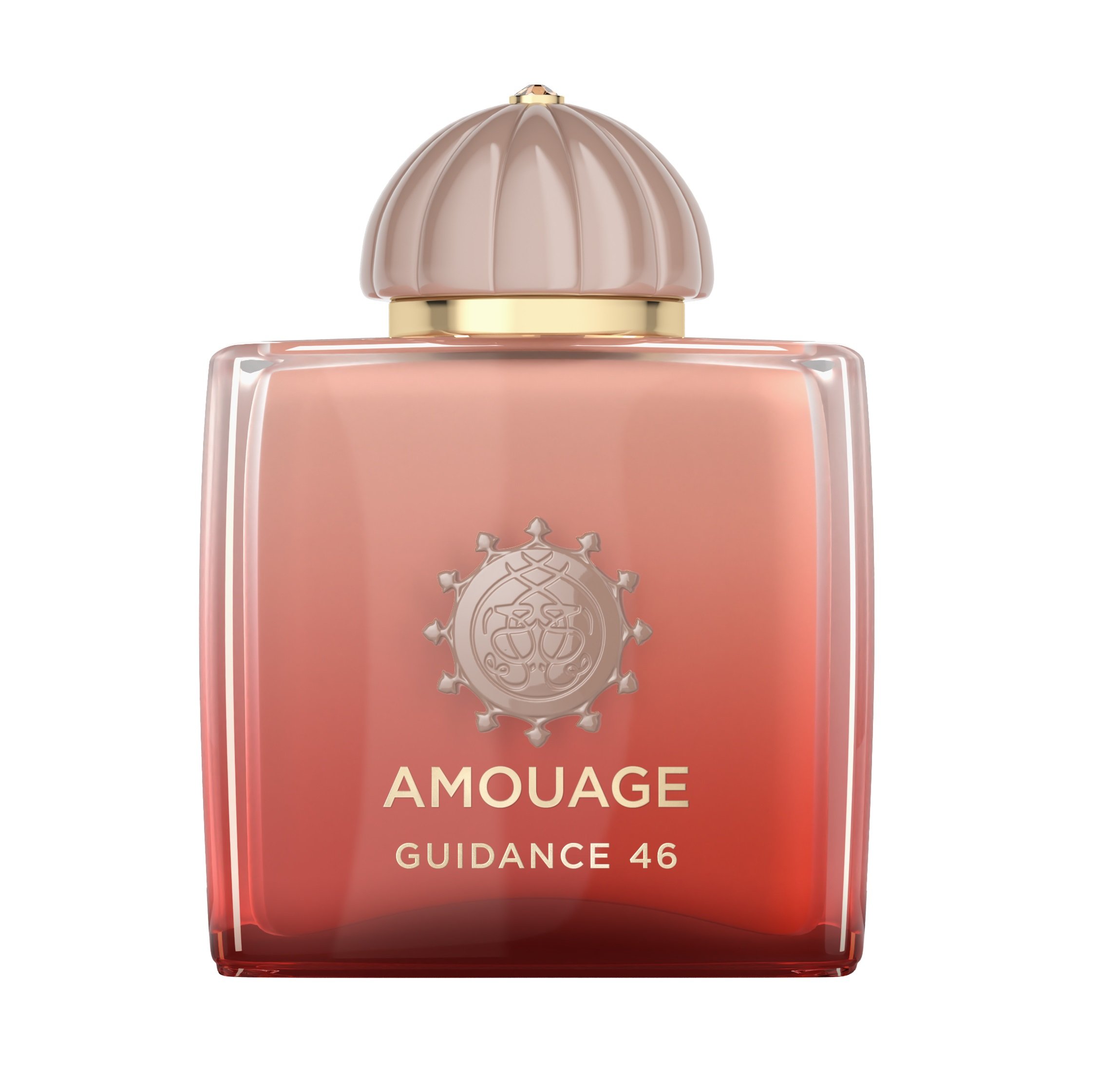 Picture of Guidance 46 fragrance