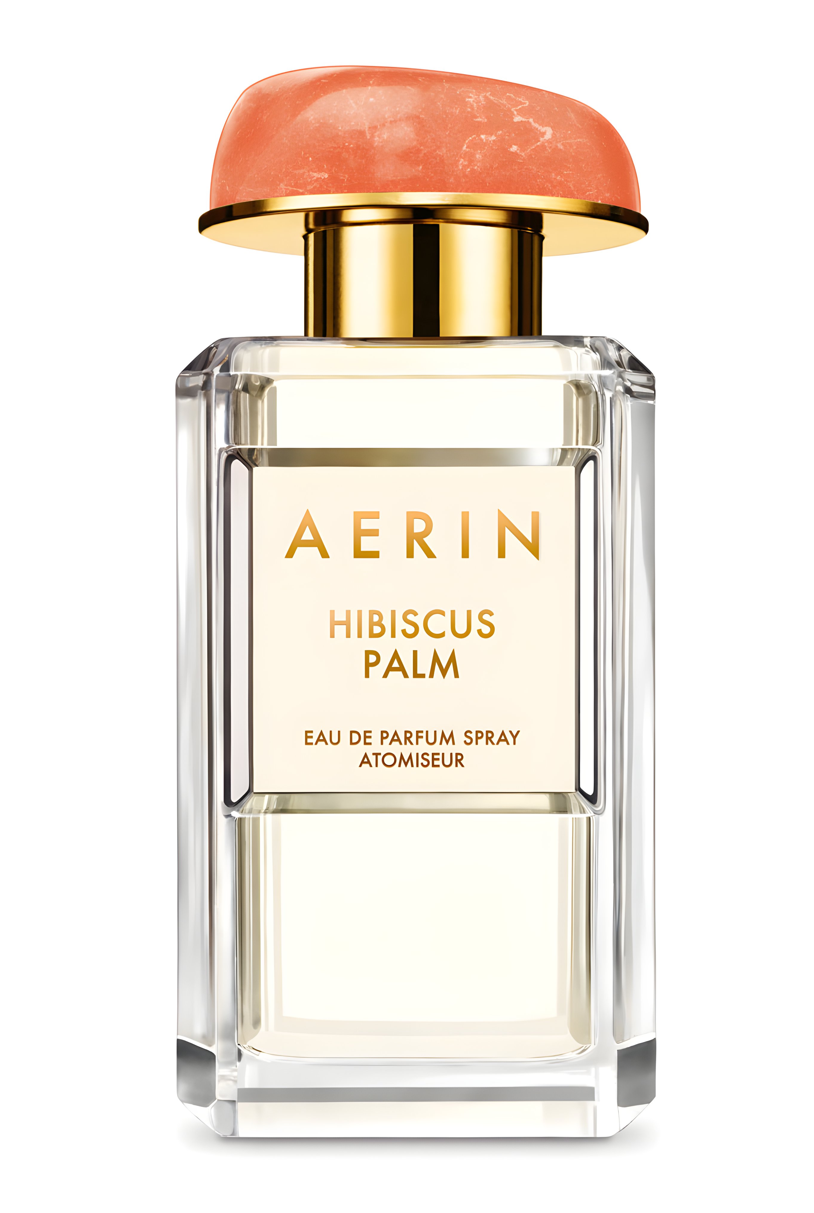 Picture of Hibiscus Palm fragrance