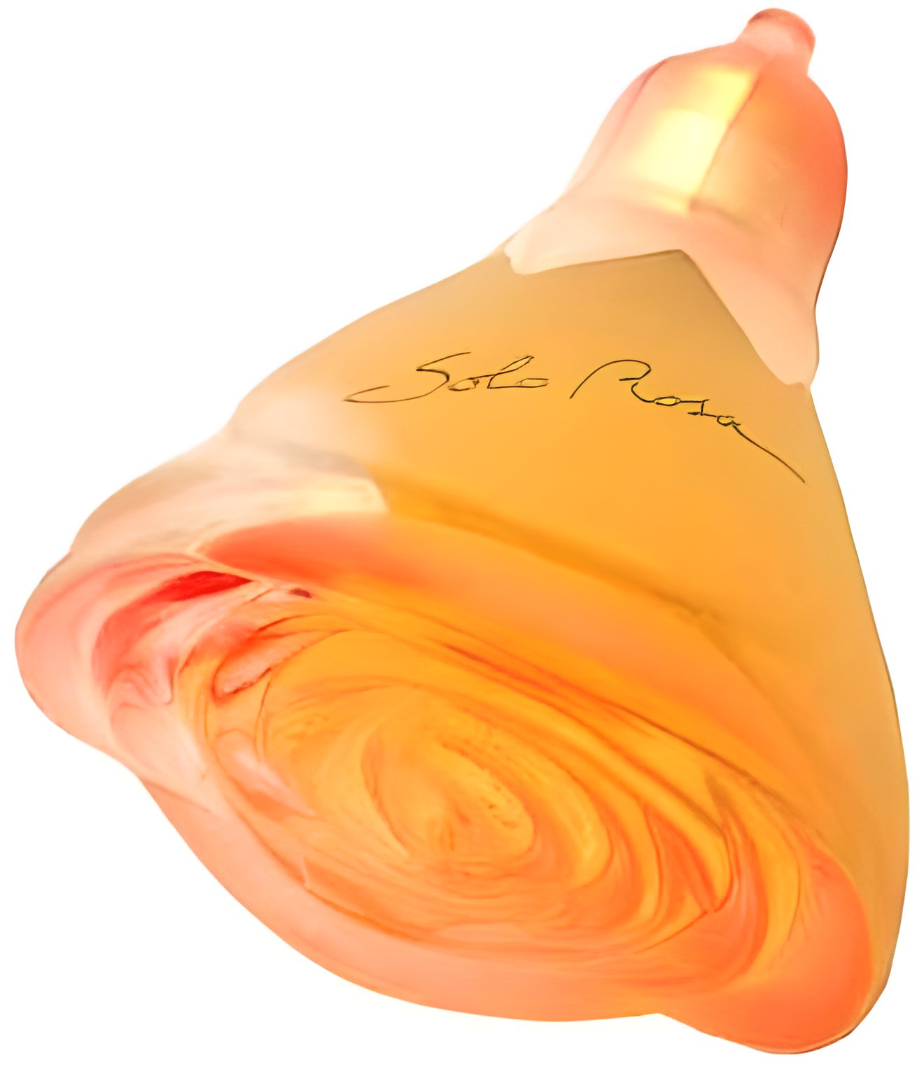 Picture of Solo Rosa fragrance