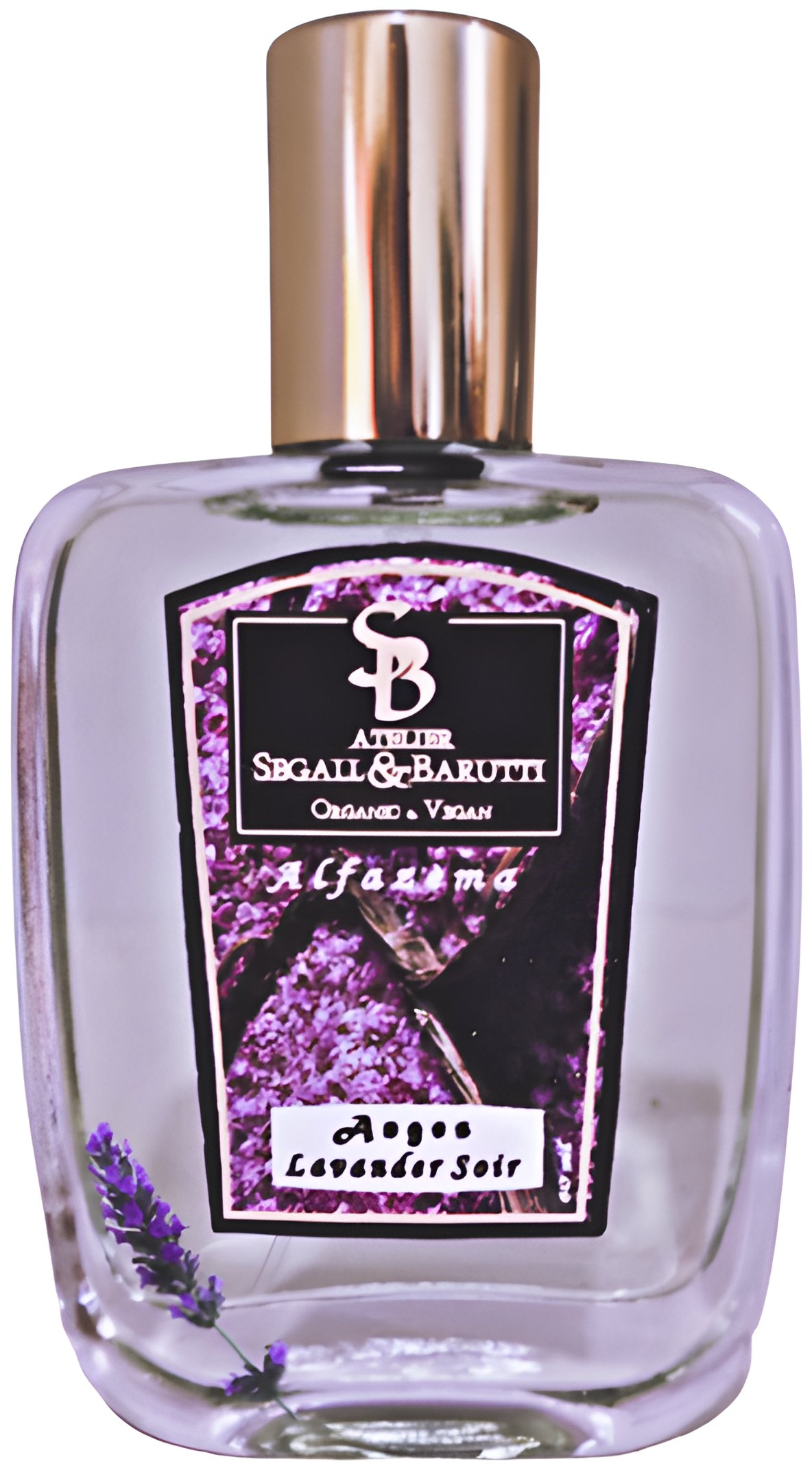 Picture of Anges Lavander Soir fragrance