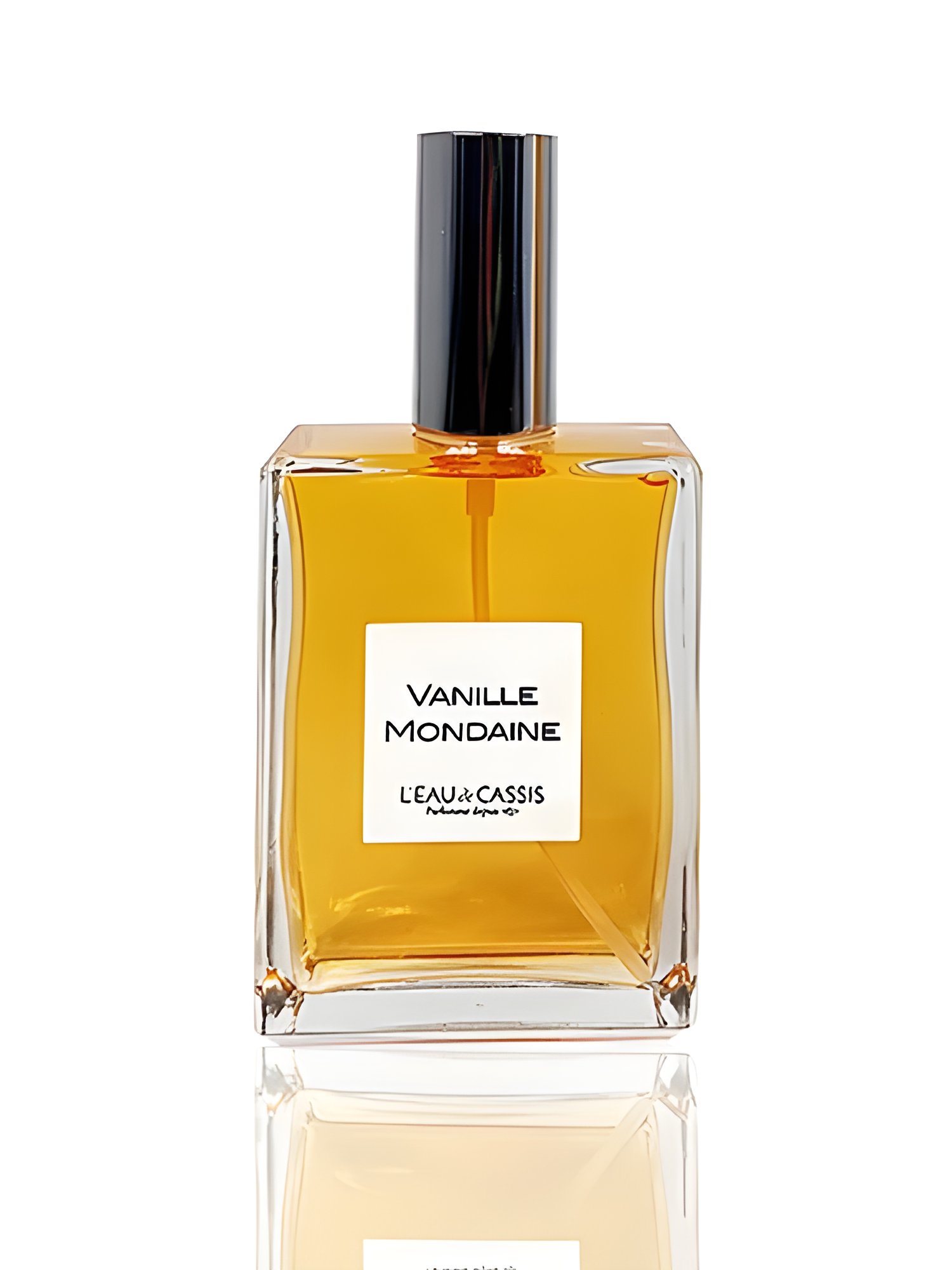 Picture of Vanille Mondaine fragrance