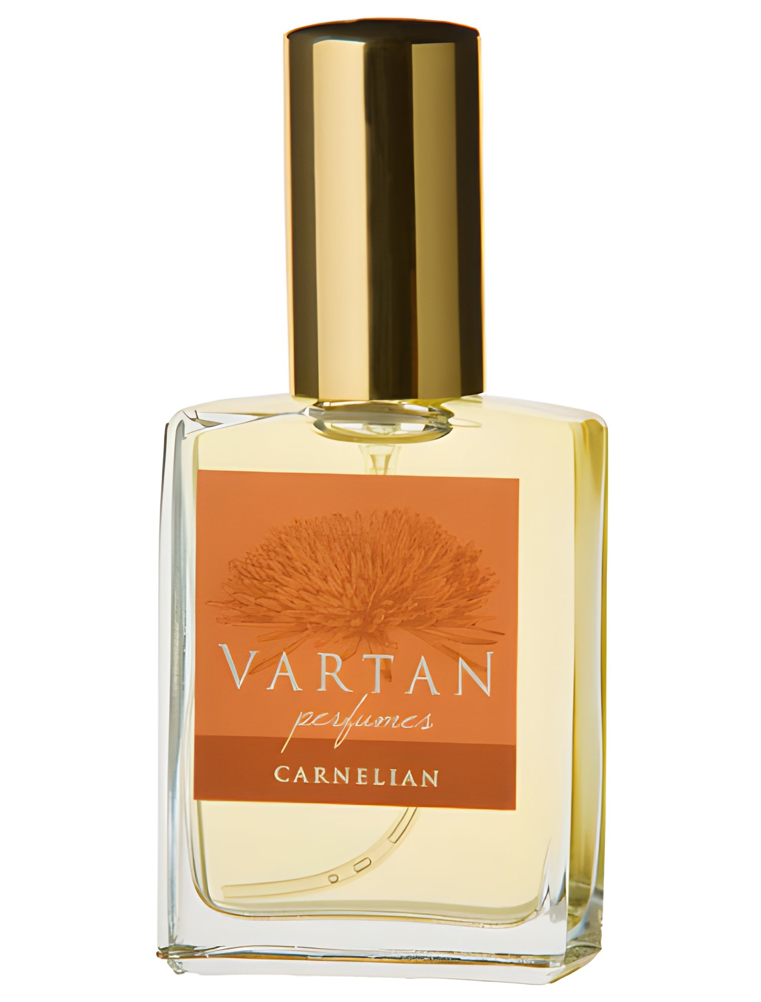 Picture of Carnelian fragrance