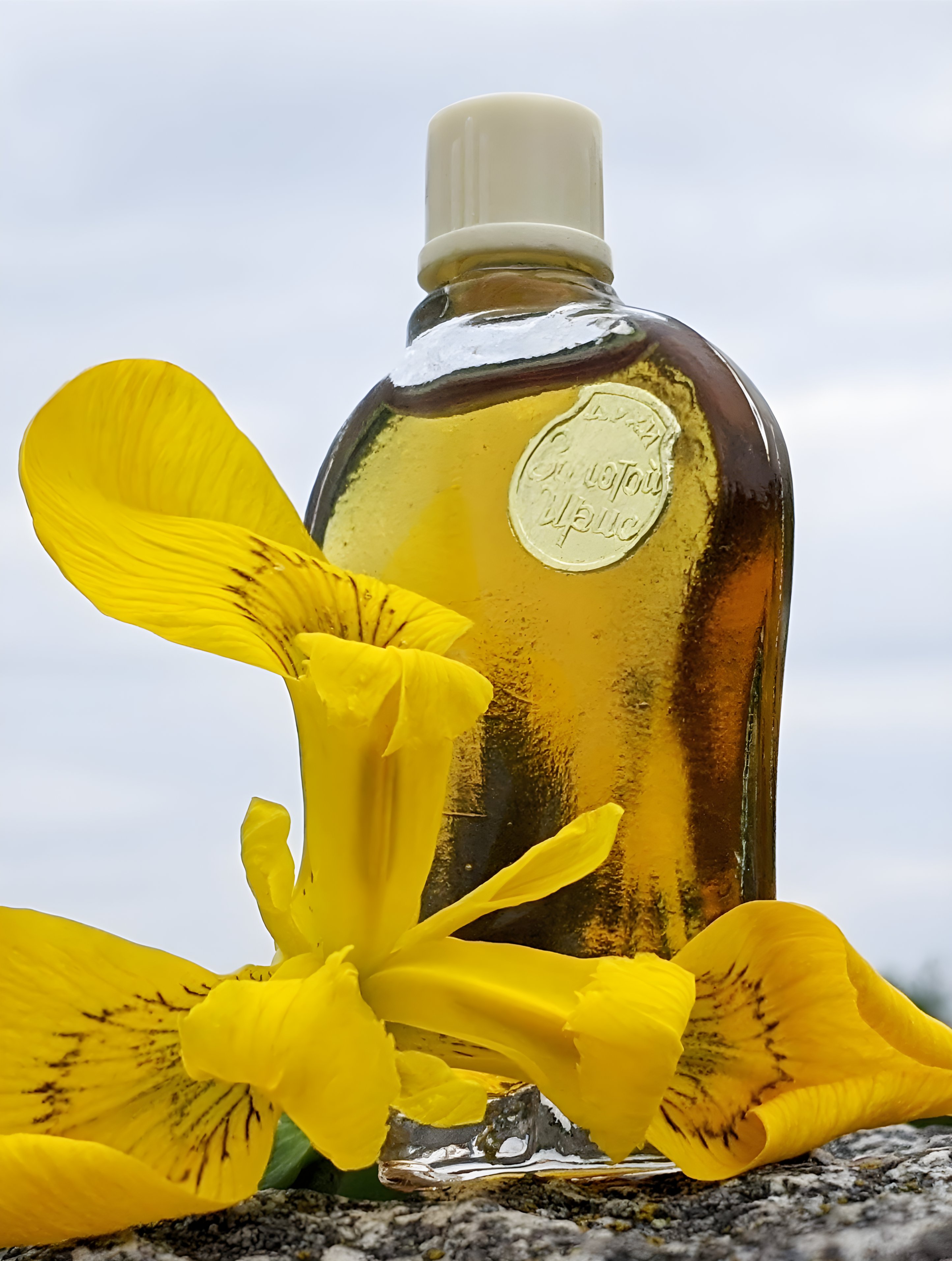 Picture of Золотой Ирис - Golden Iris fragrance