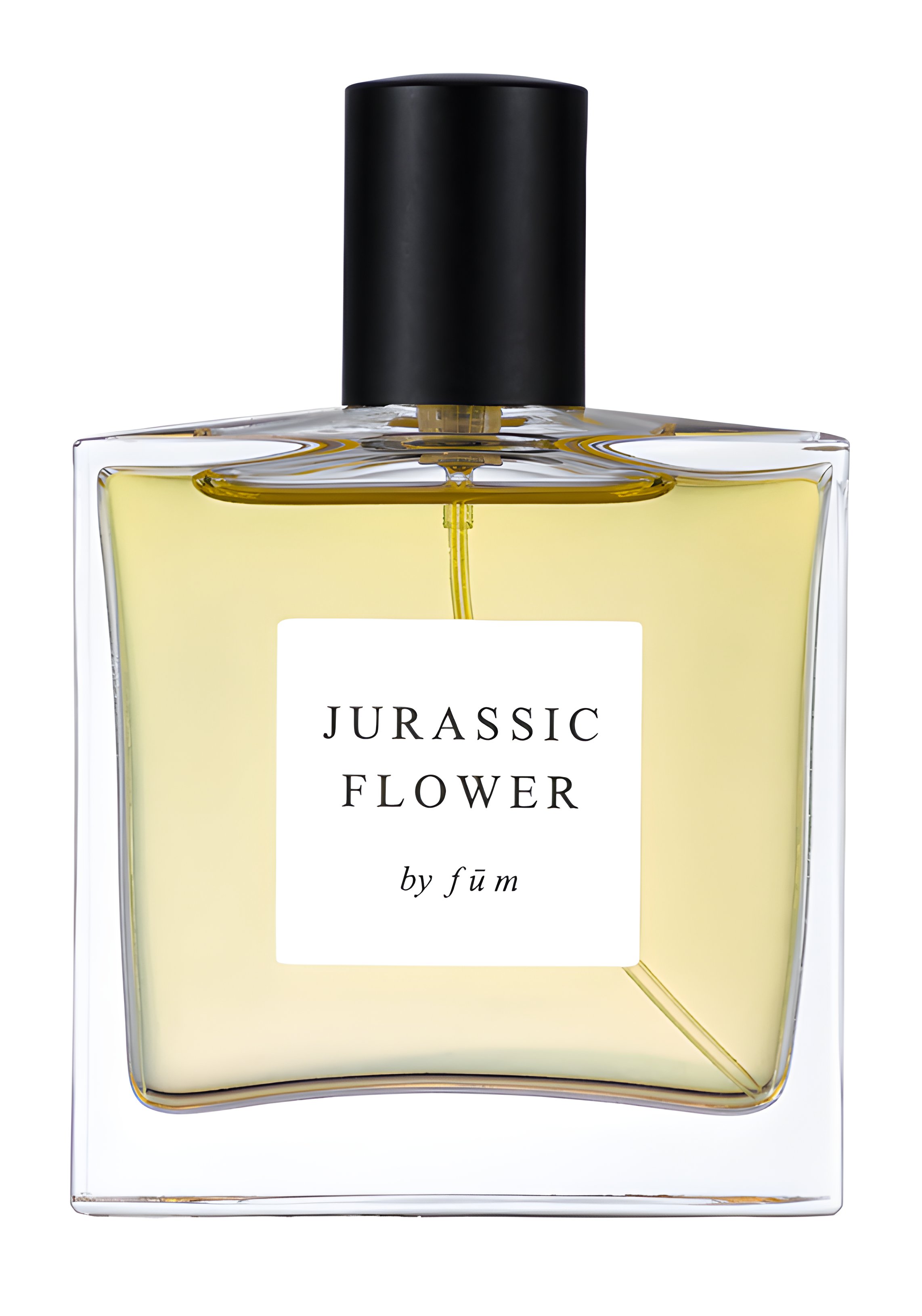 Picture of Jurassic Flower fragrance