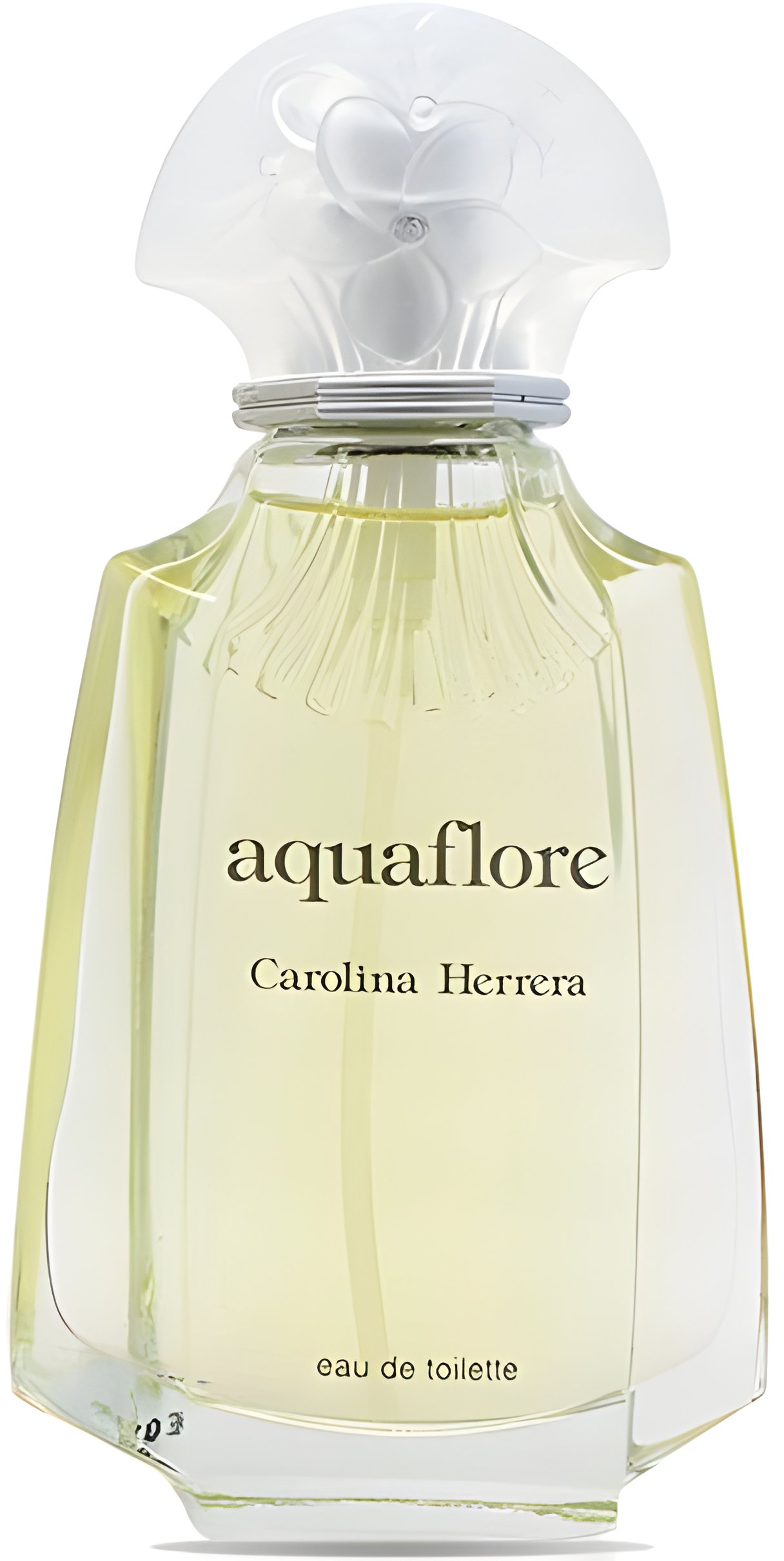 Picture of AquaFlore fragrance