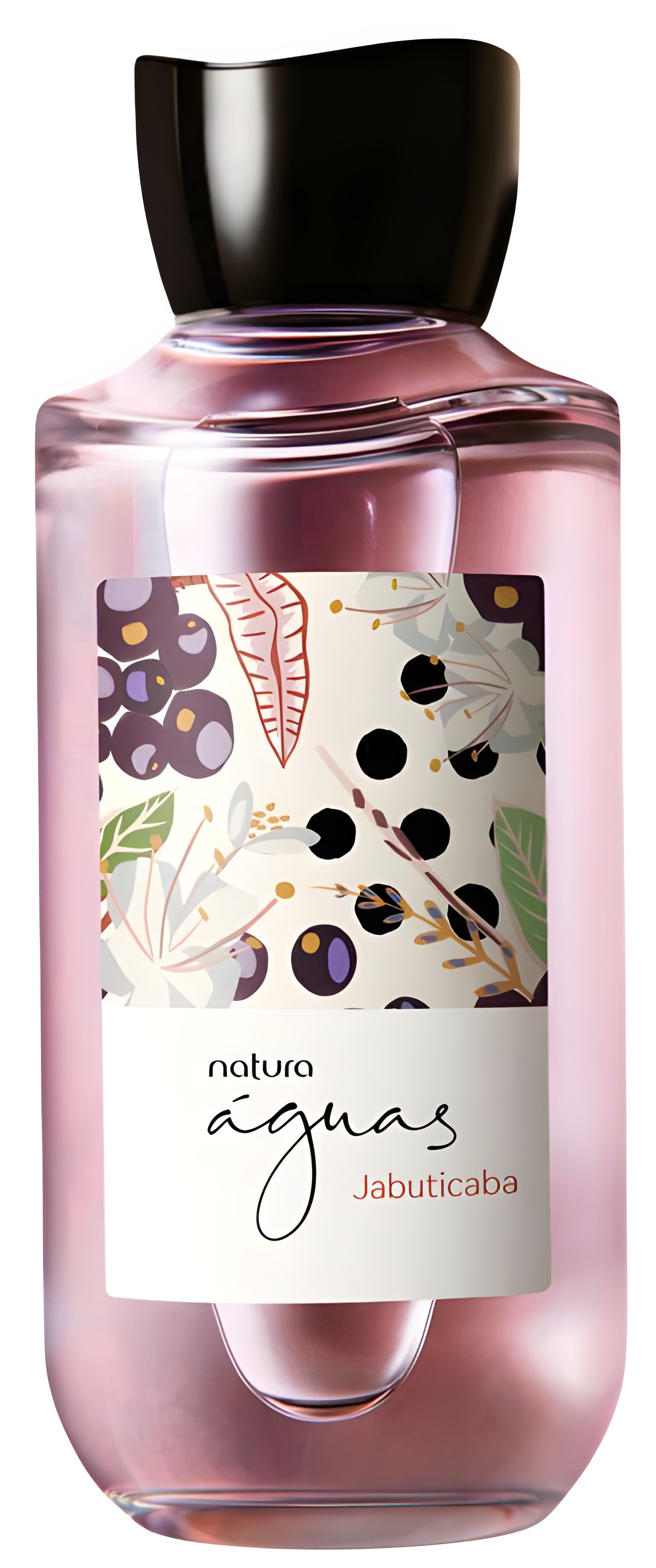 Picture of Jabuticaba fragrance