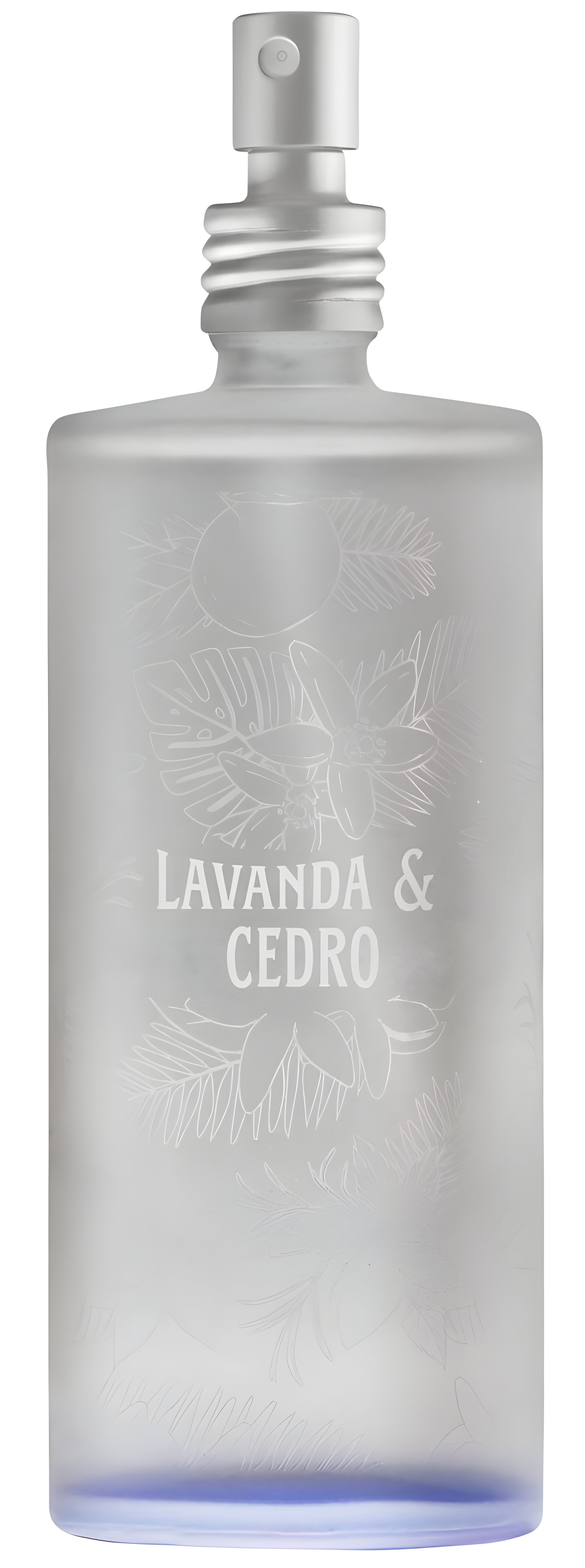 Picture of Lavanda & Cedro fragrance