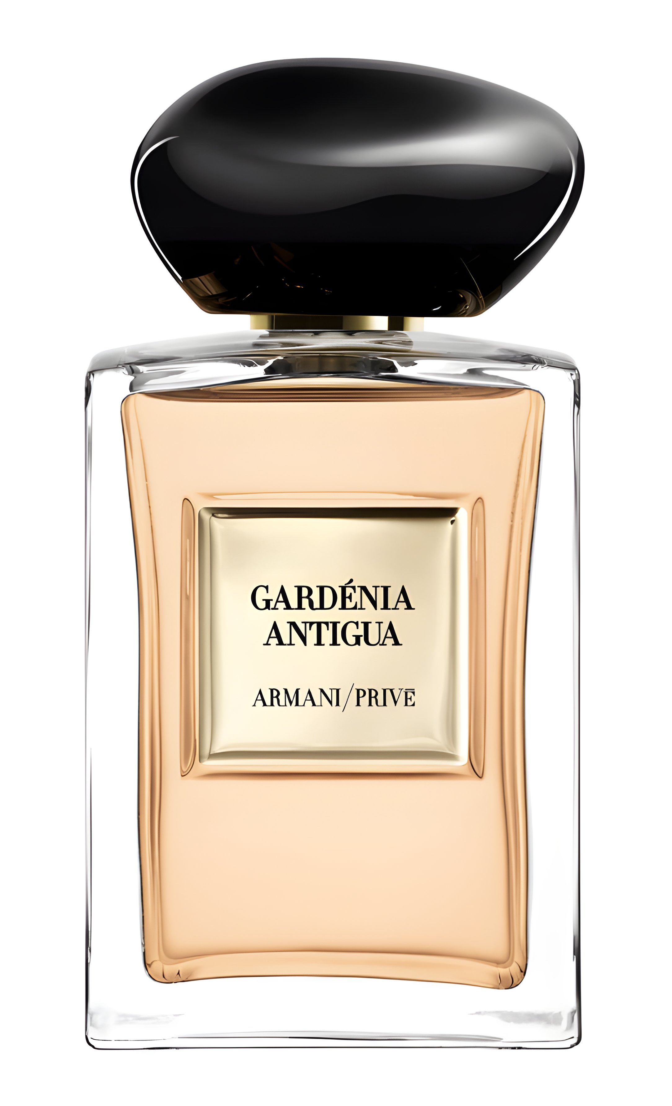 Picture of Gardénia Antigua fragrance