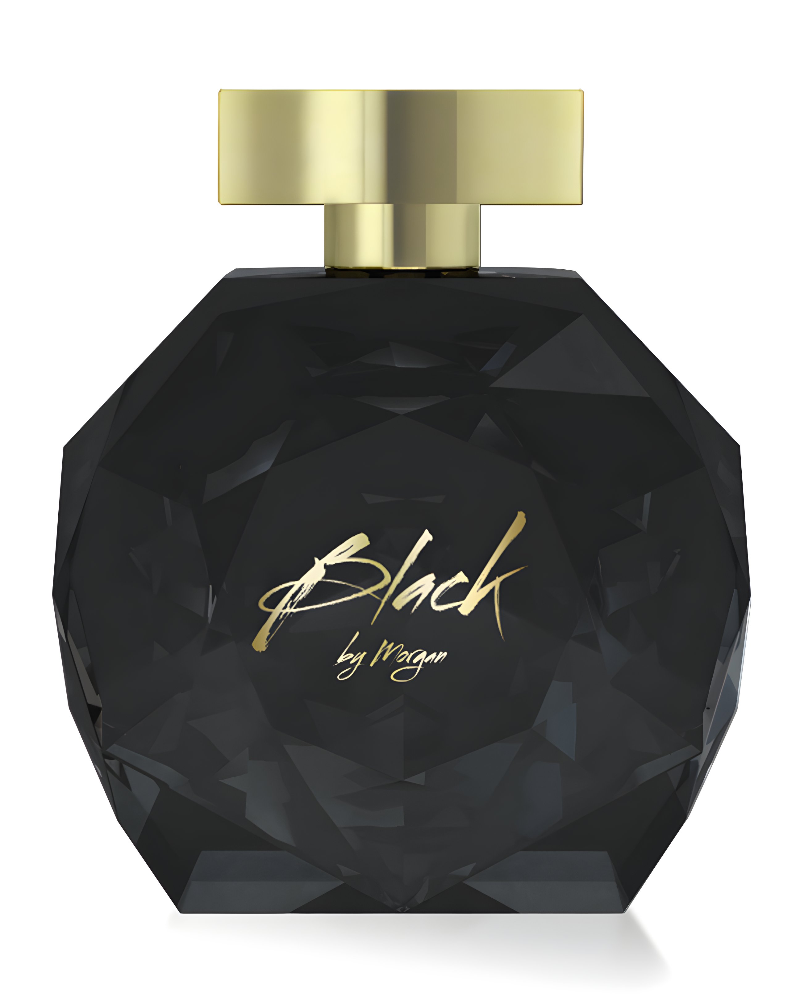 Picture of Black by Morgan fragrance