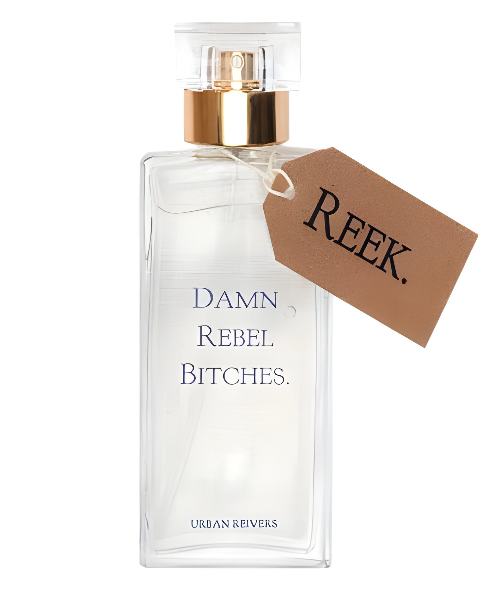 Picture of Damn Rebel Bitches fragrance