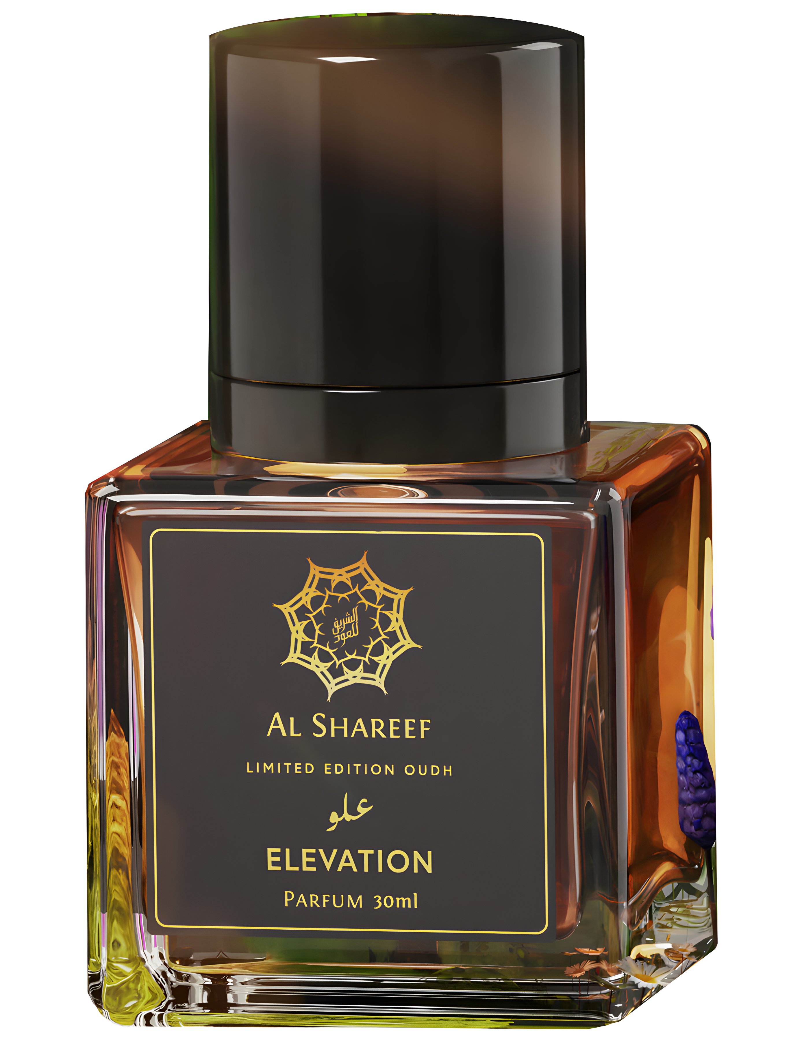 Picture of Elevation Parfum fragrance