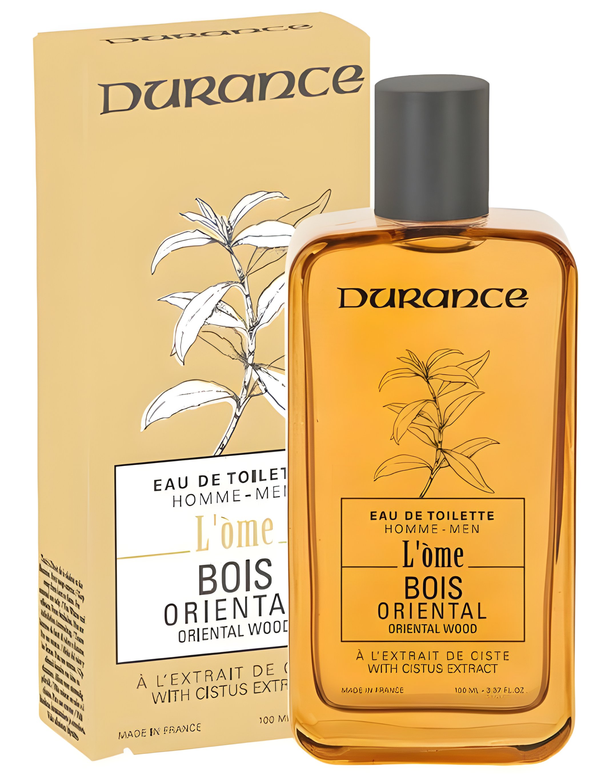 Picture of Bois Oriental fragrance