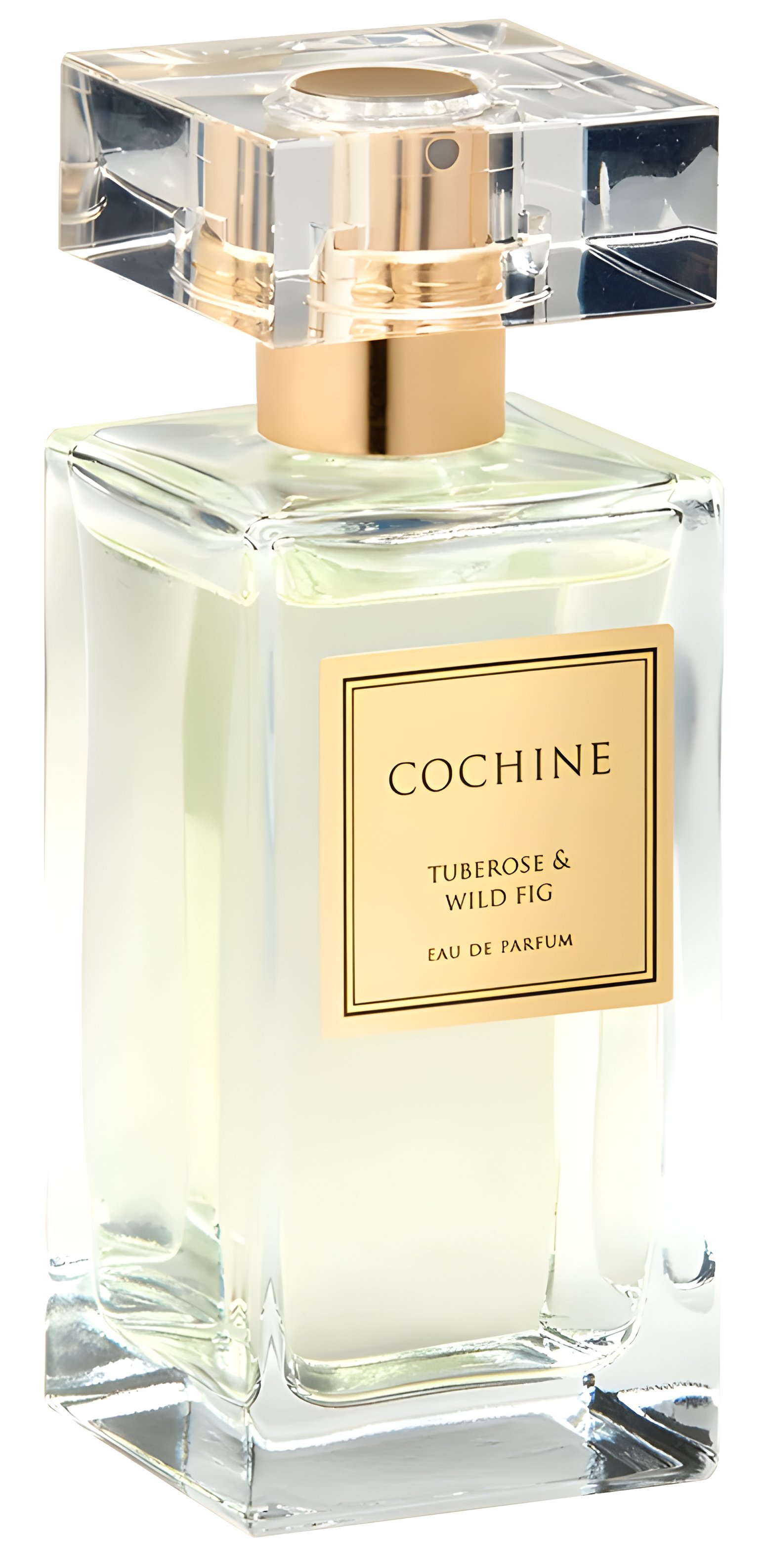 Picture of Tuberose & Wild Fig fragrance