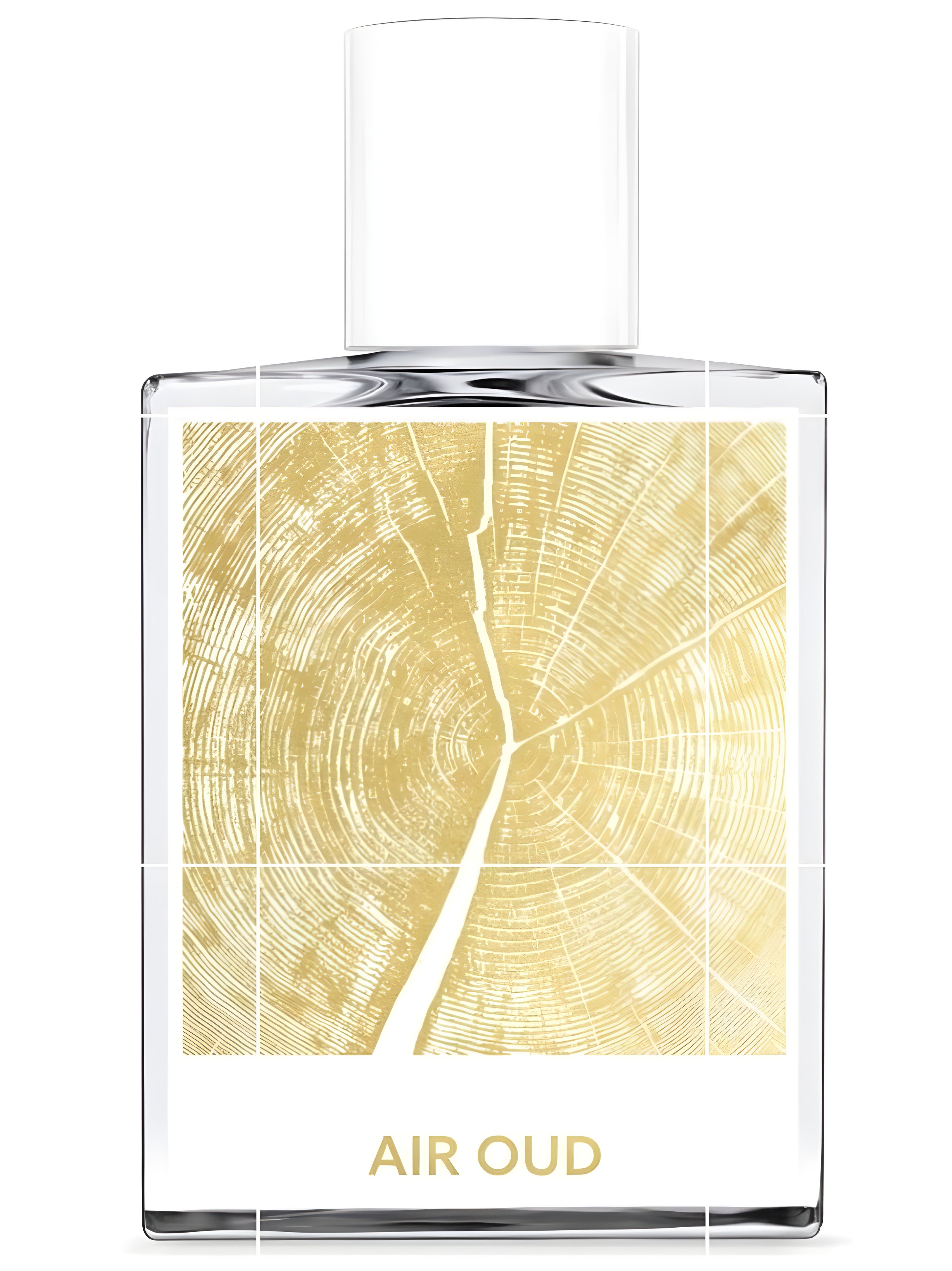 Picture of Air Oud fragrance