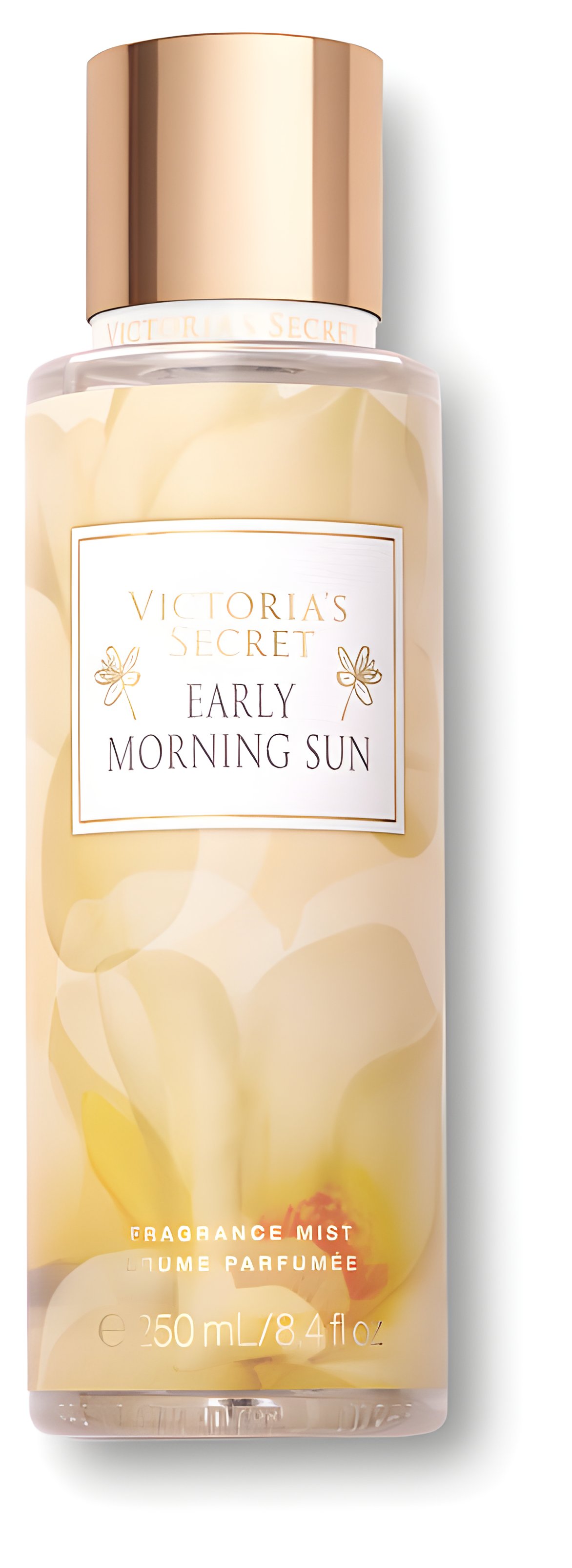 Picture of Early Morning Sun fragrance