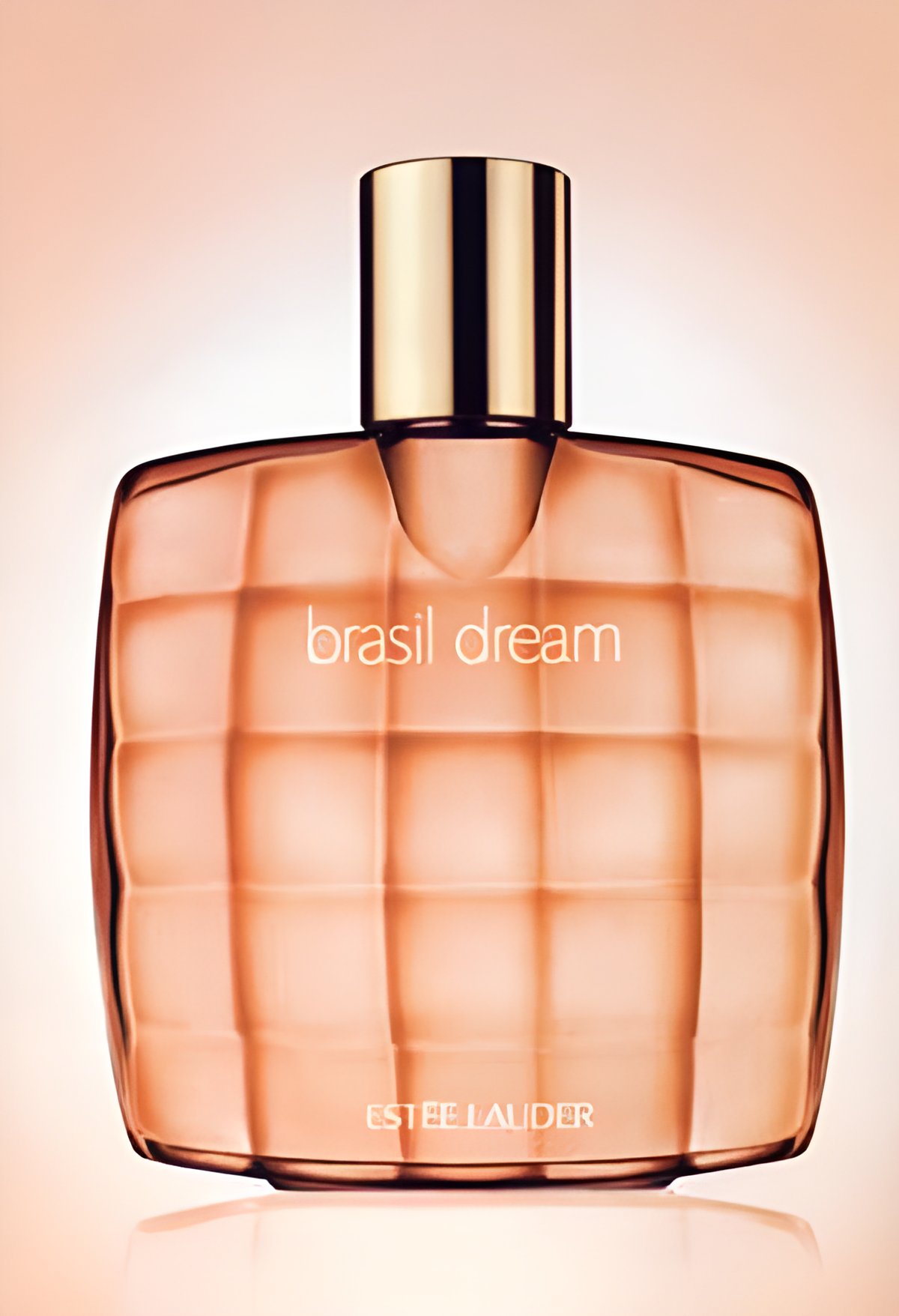 Picture of Brasil Dream fragrance