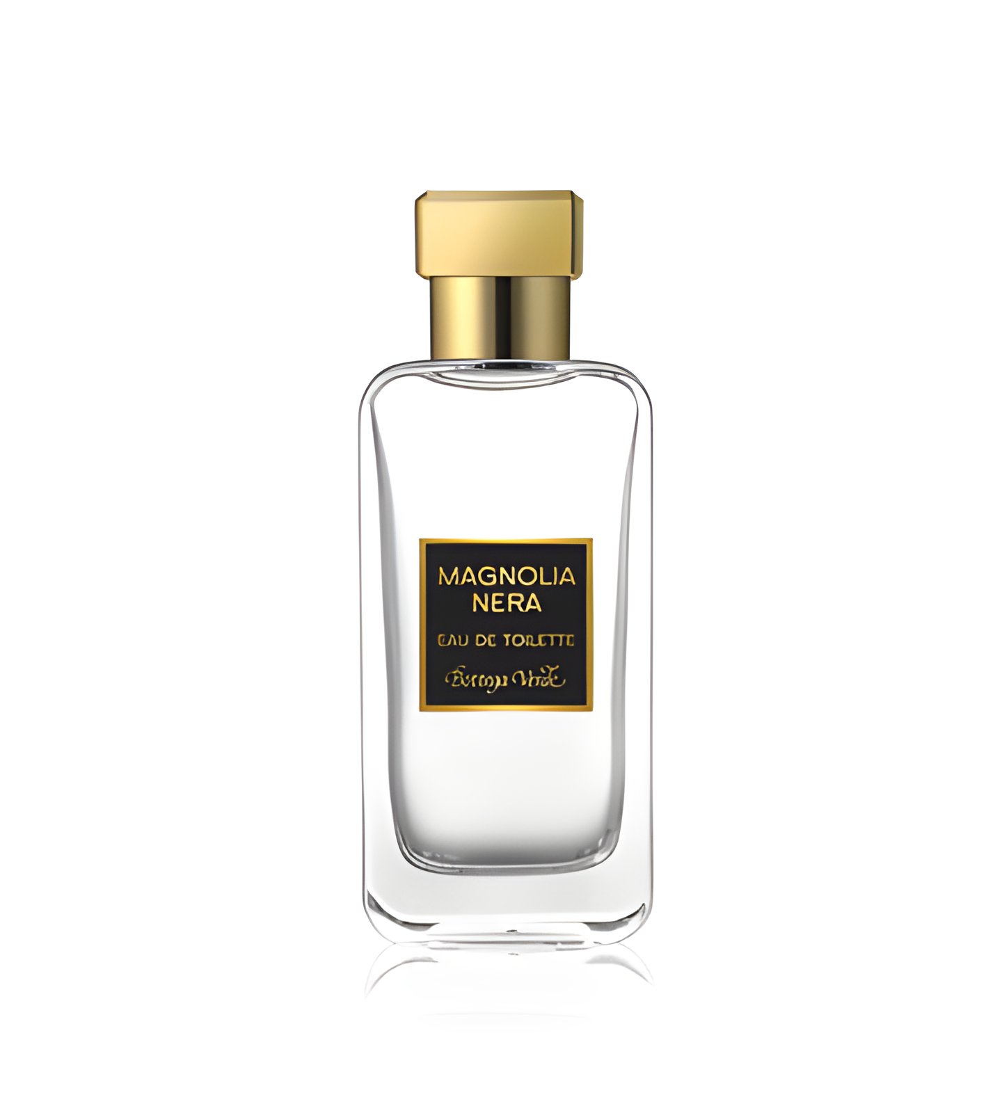 Picture of Magnolia Nera fragrance