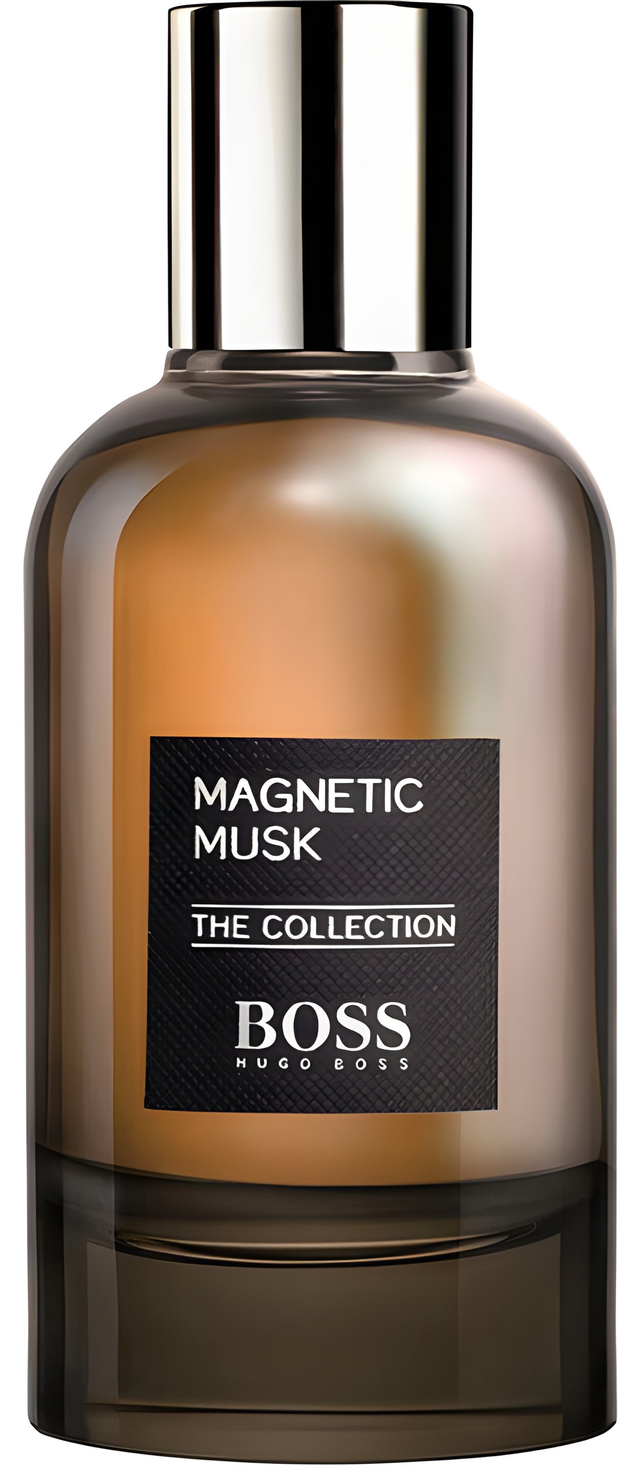 Picture of The Collection Magnetic Musk fragrance