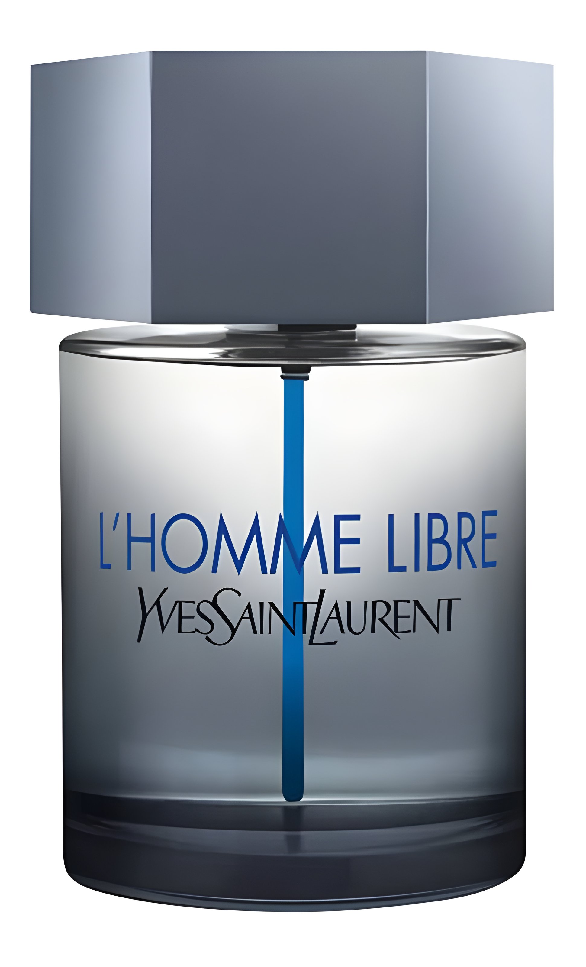 Picture of L'Homme Libre fragrance